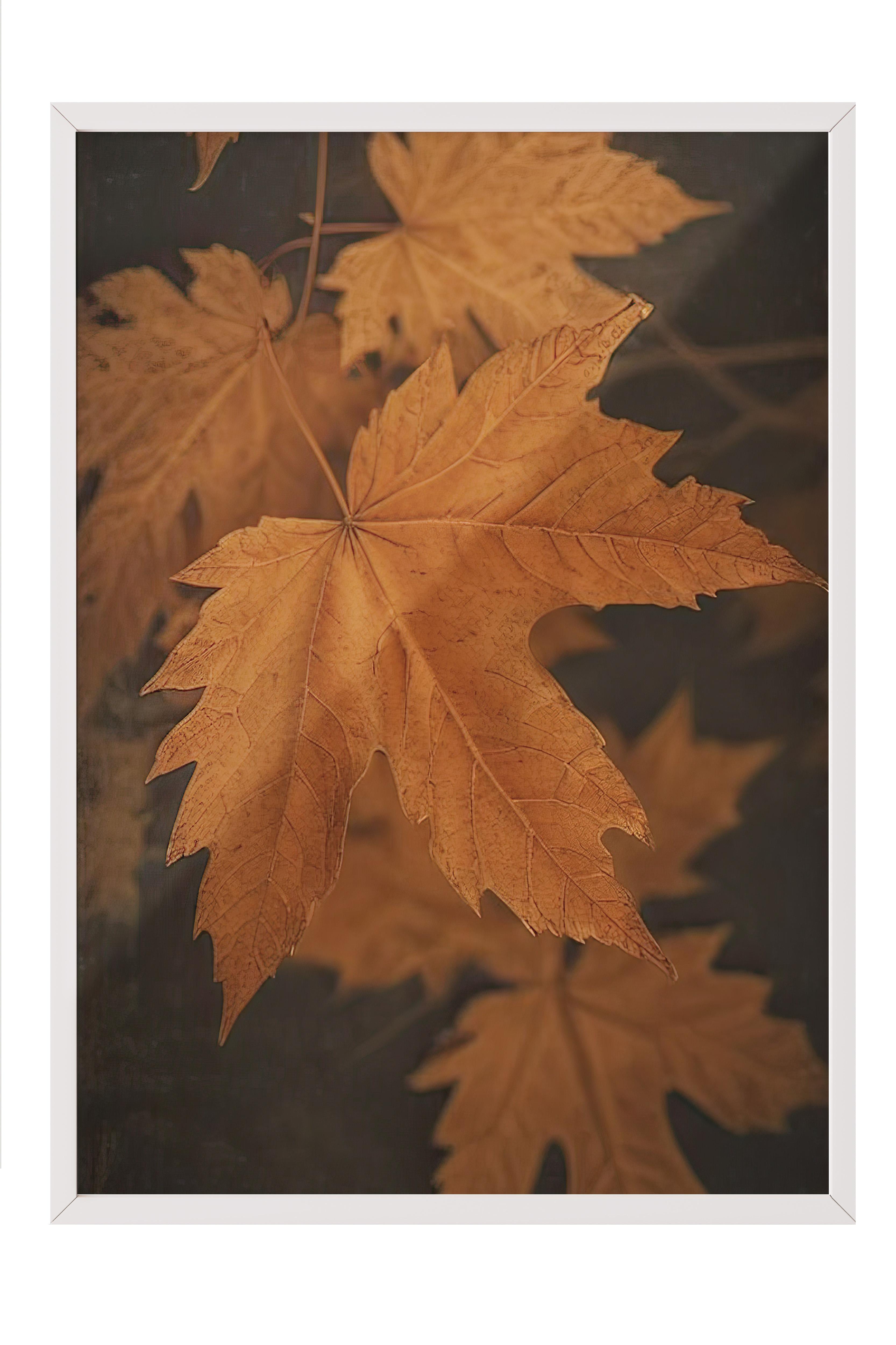 Close Up Leaf Çerçeveli Tablo, Beyaz Çerçeve ve Poster, Dikey Duvar Tablosu Comfort Serisi NO:108350