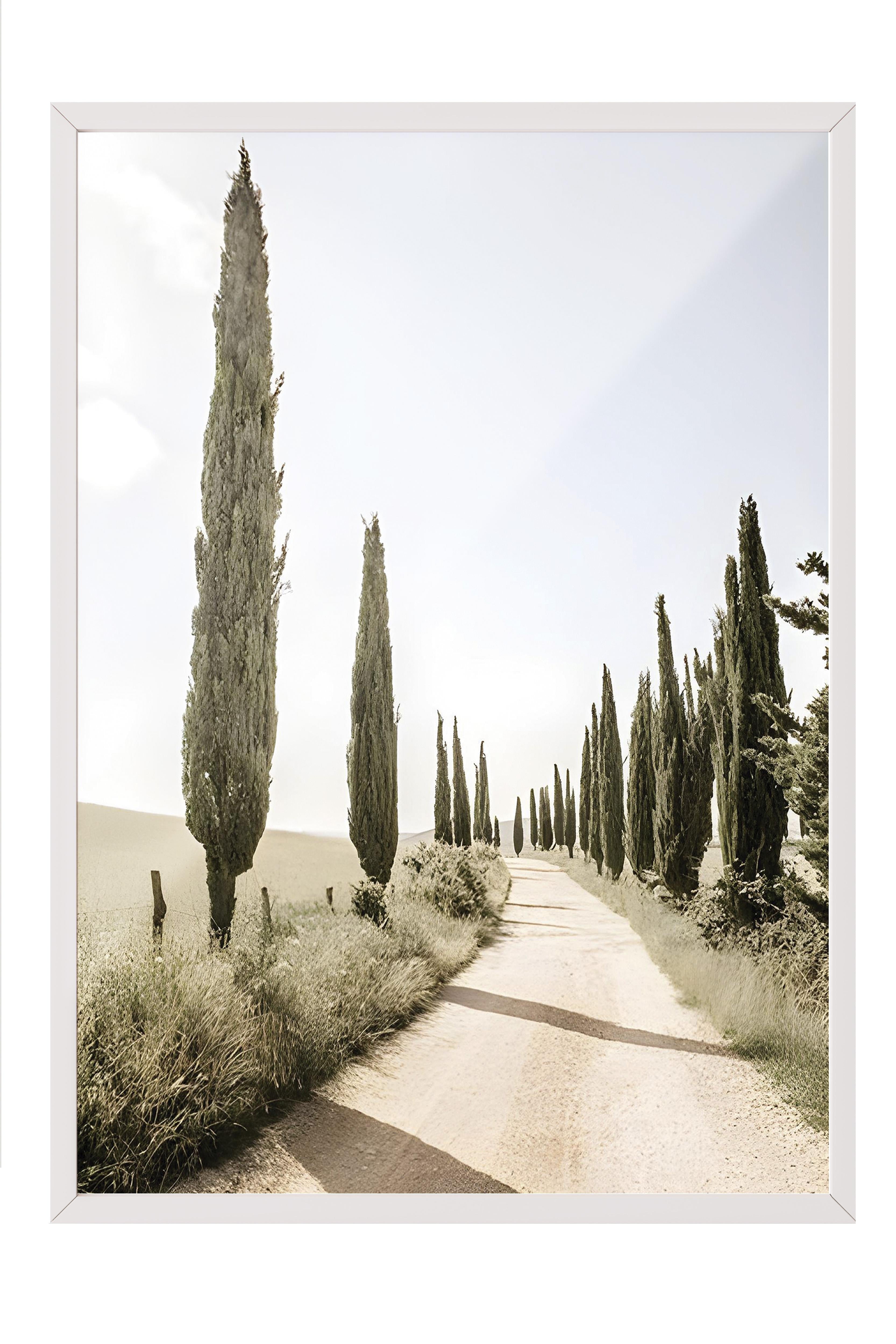 Cypress Tree Alley Çerçeveli Tablo, Beyaz Çerçeve ve Poster, Duvar Tablosu Comfort Serisi NO:108323