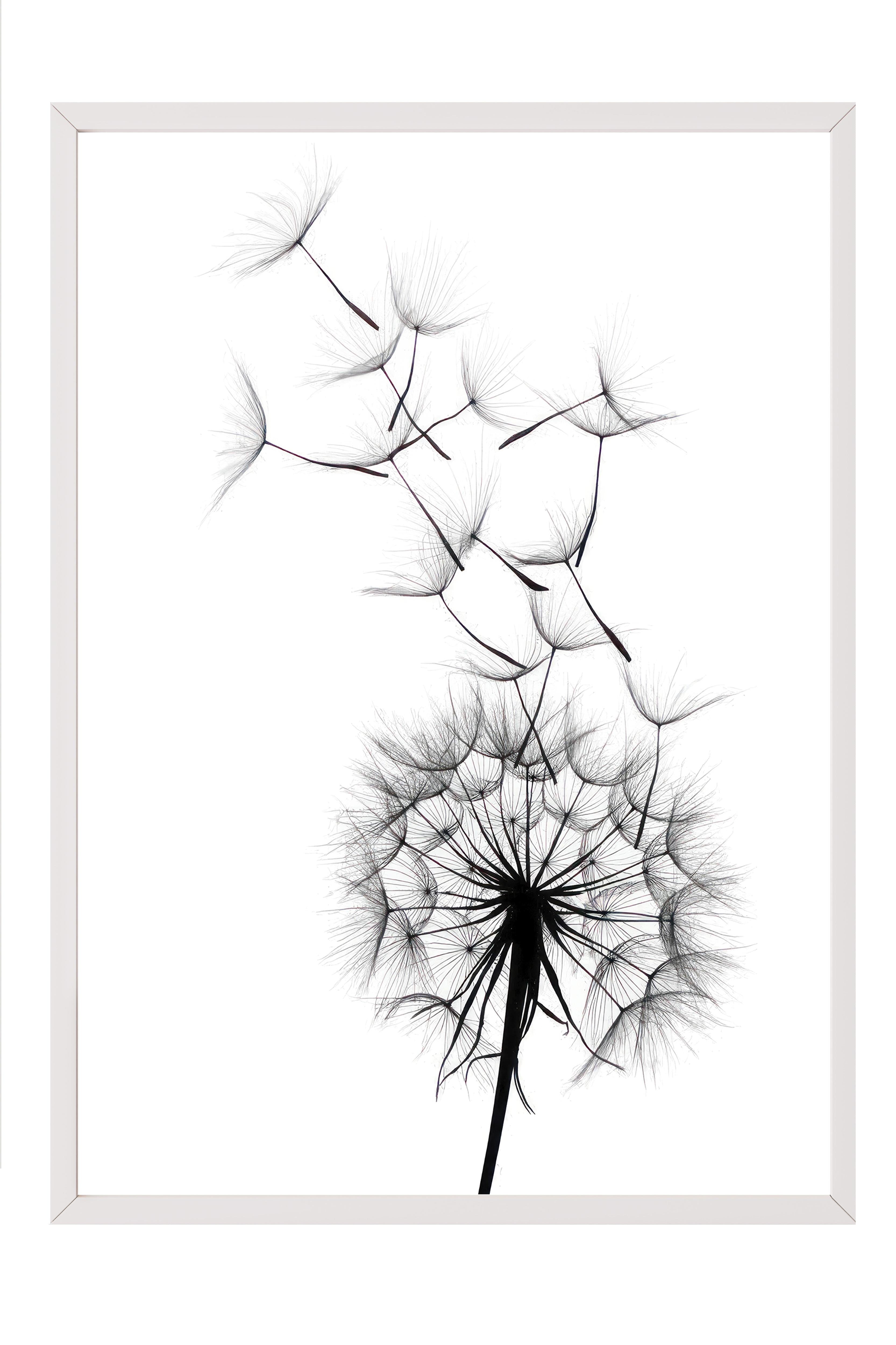 Dandelion wish Çerçeveli Tablo, Beyaz Çerçeve ve Poster, Duvar Tablosu Comfort Serisi NO:108520
