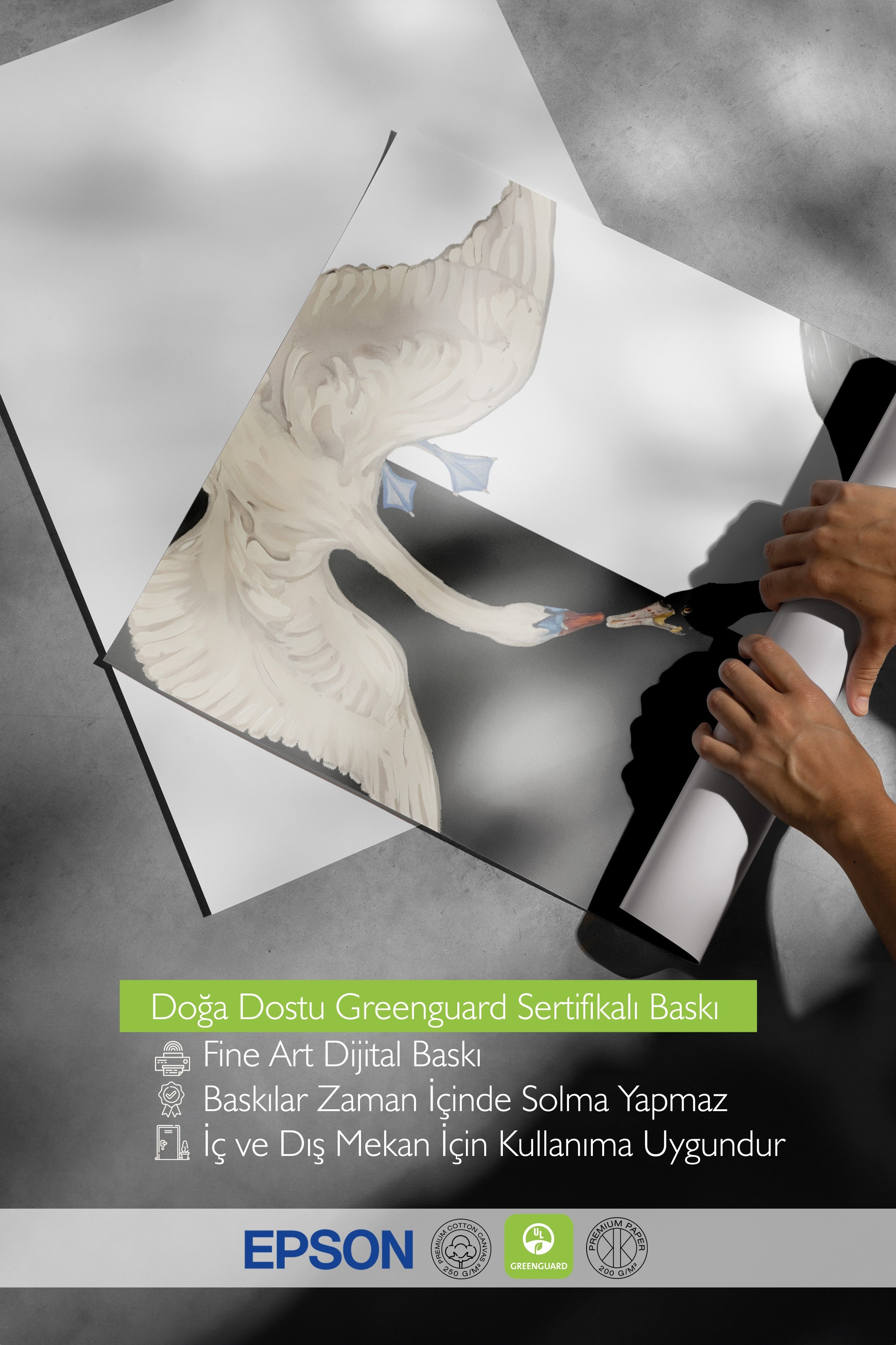 Duvar Posteri, Çerçevesiz Poster, Sanatsal Baskı, Ritüel Serisi, Kuş Tablo, NO:115202