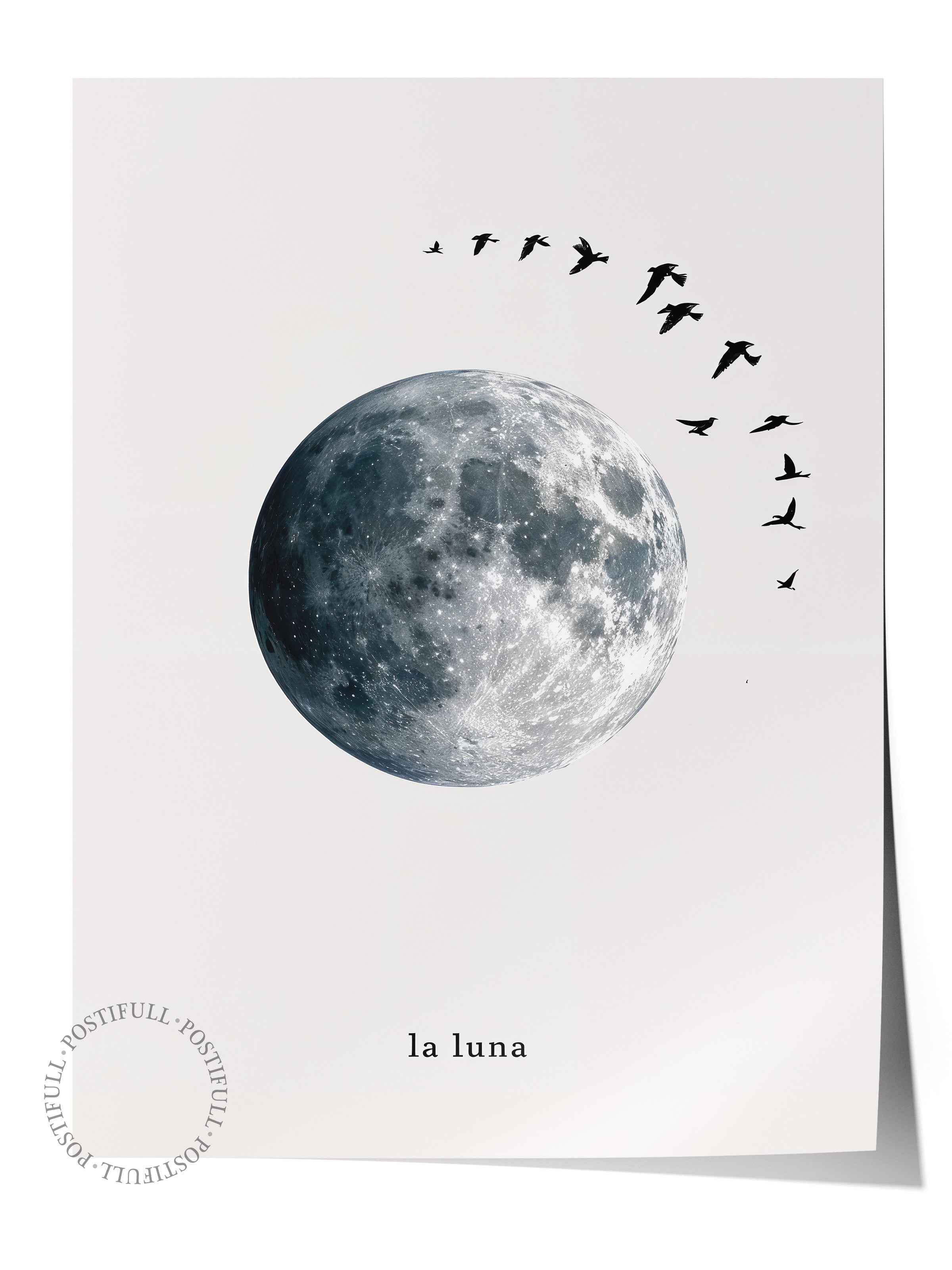 Duvar Posteri, Çerçevesiz Poster, Sanatsal Baskı, Ritüel Serisi, Kuş Tablo, NO:115227