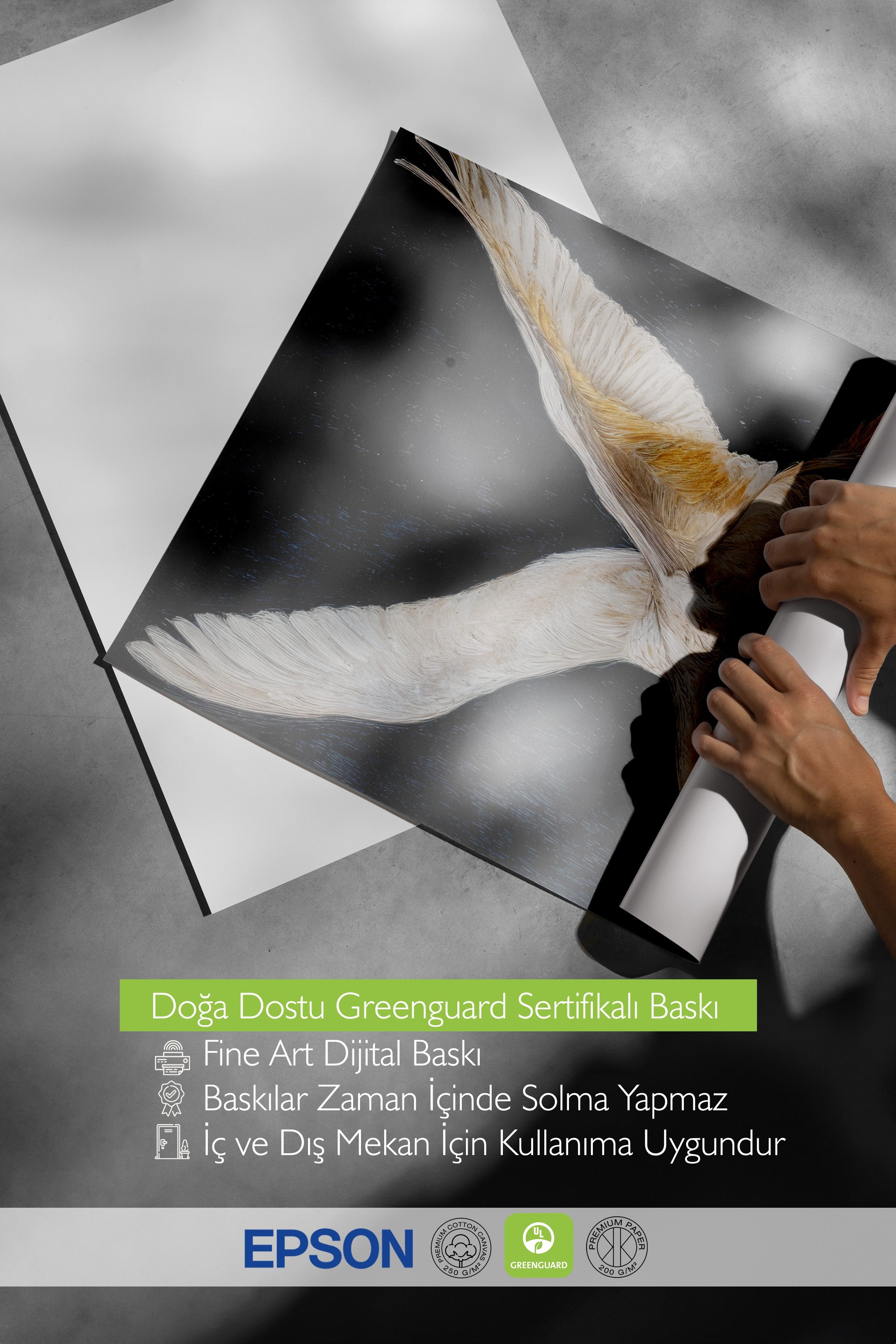 Duvar Posteri, Çerçevesiz Poster, Sanatsal Baskı, Ritüel Serisi, Kuş Tablo, NO:115246