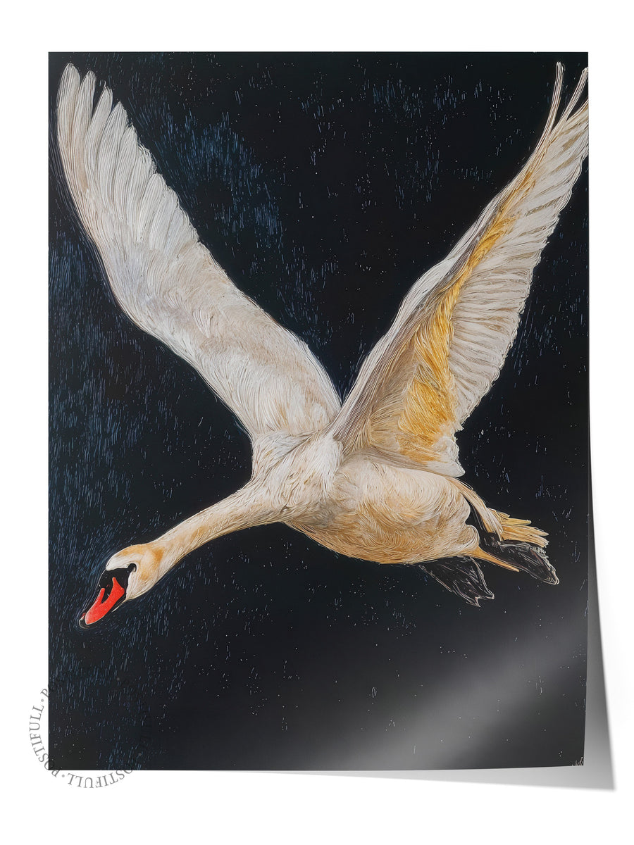 Duvar Posteri, Çerçevesiz Poster, Sanatsal Baskı, Ritüel Serisi, Kuş Tablo, NO:115246