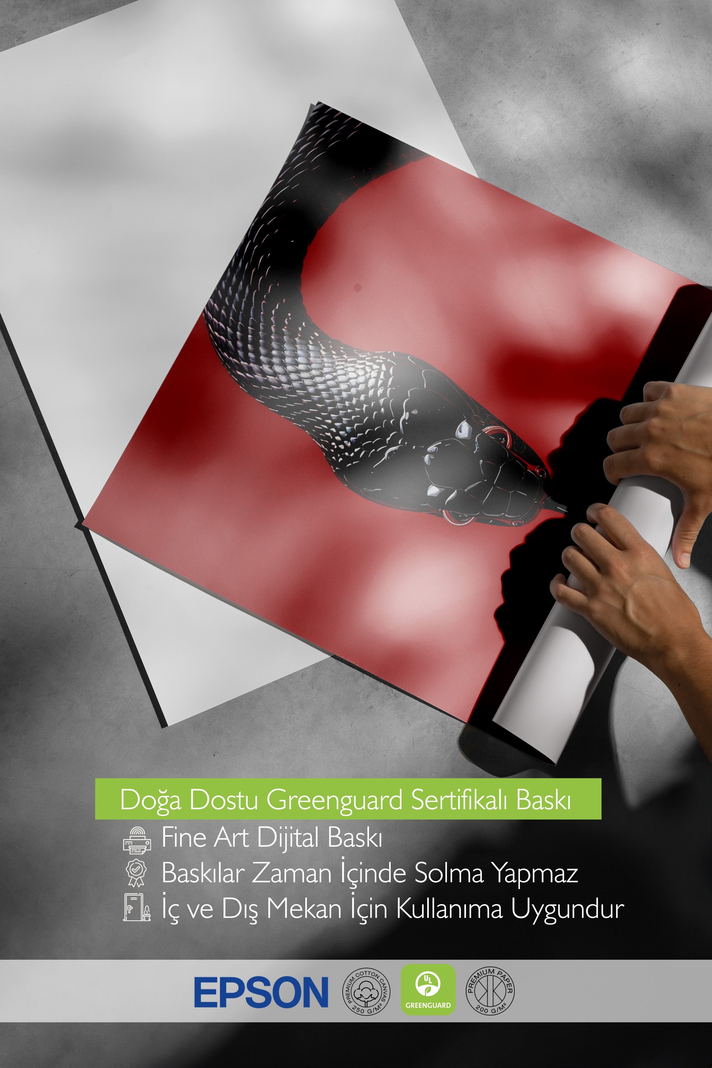 Duvar Posteri ve Dekoru, Çerçevesiz Poster, Sanatsal Baskı, Ritüel Serisi, Yılan Tablo, NO:115276