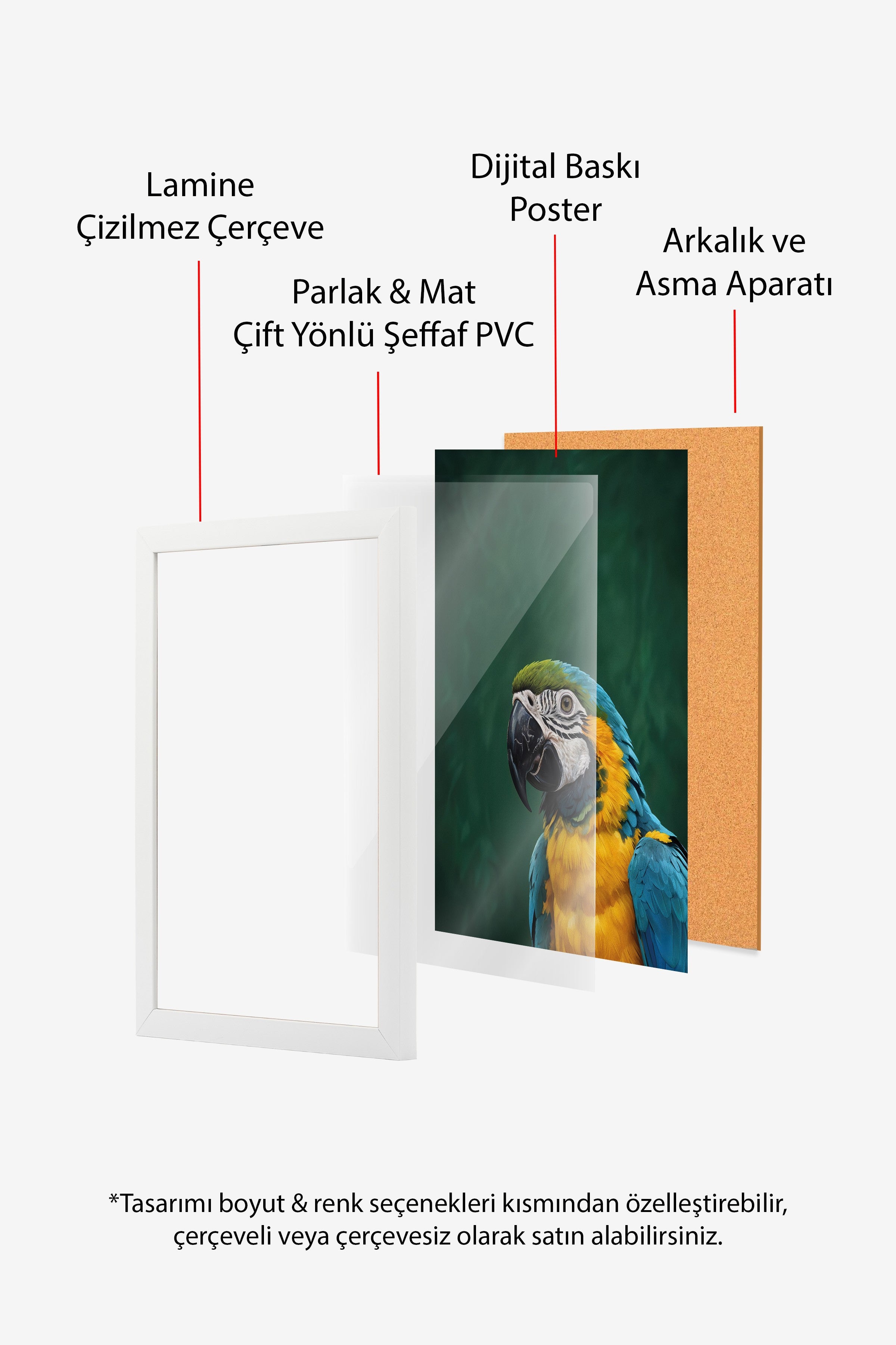 Duvar Tablosu, Beyaz Çerçeveli Tablo ve Poster, Ritüel Serisi, Kuş Tablo, NO:115207