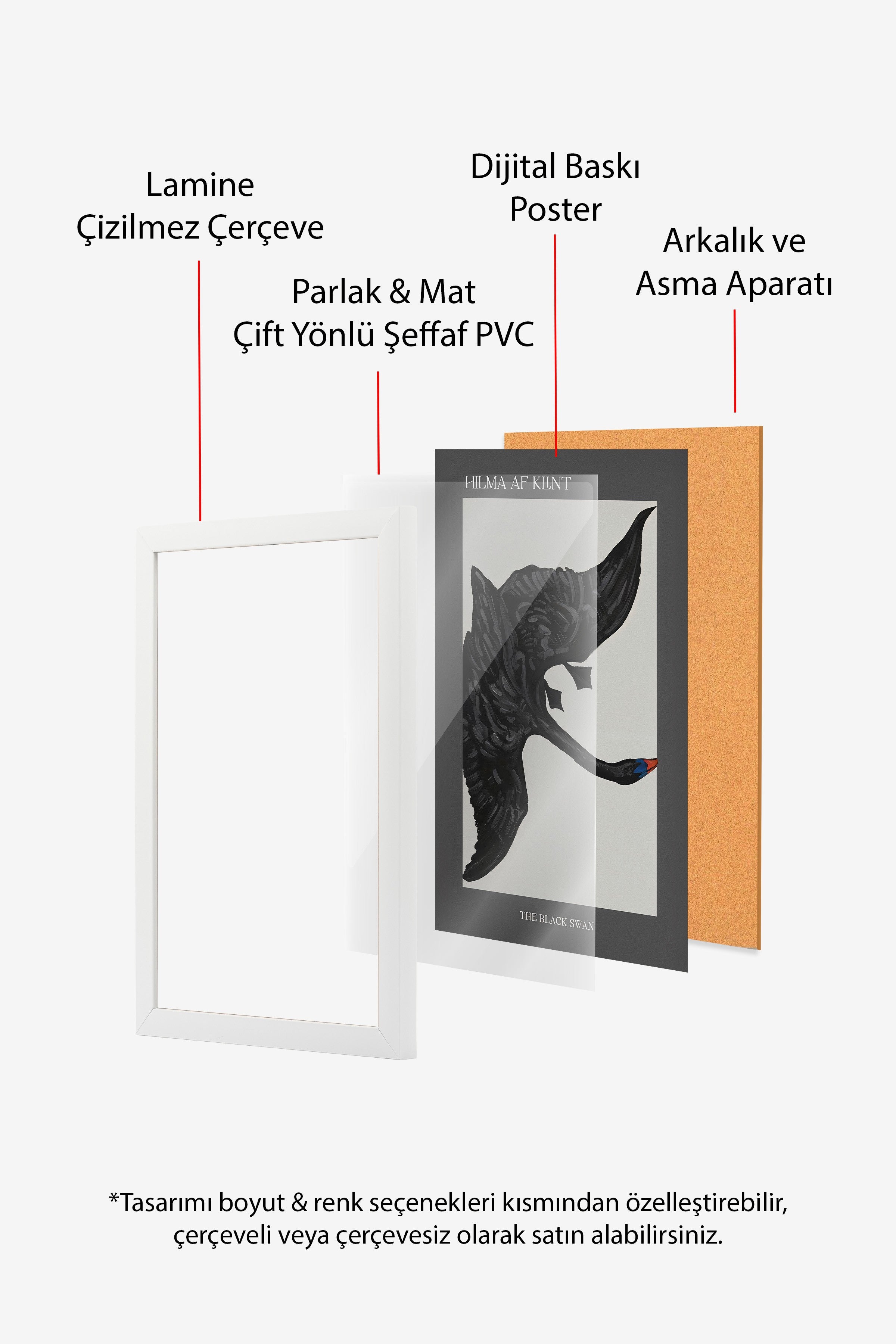 Duvar Tablosu, Beyaz Çerçeveli Tablo ve Poster, Ritüel Serisi, Kuş Tablo, NO:115208