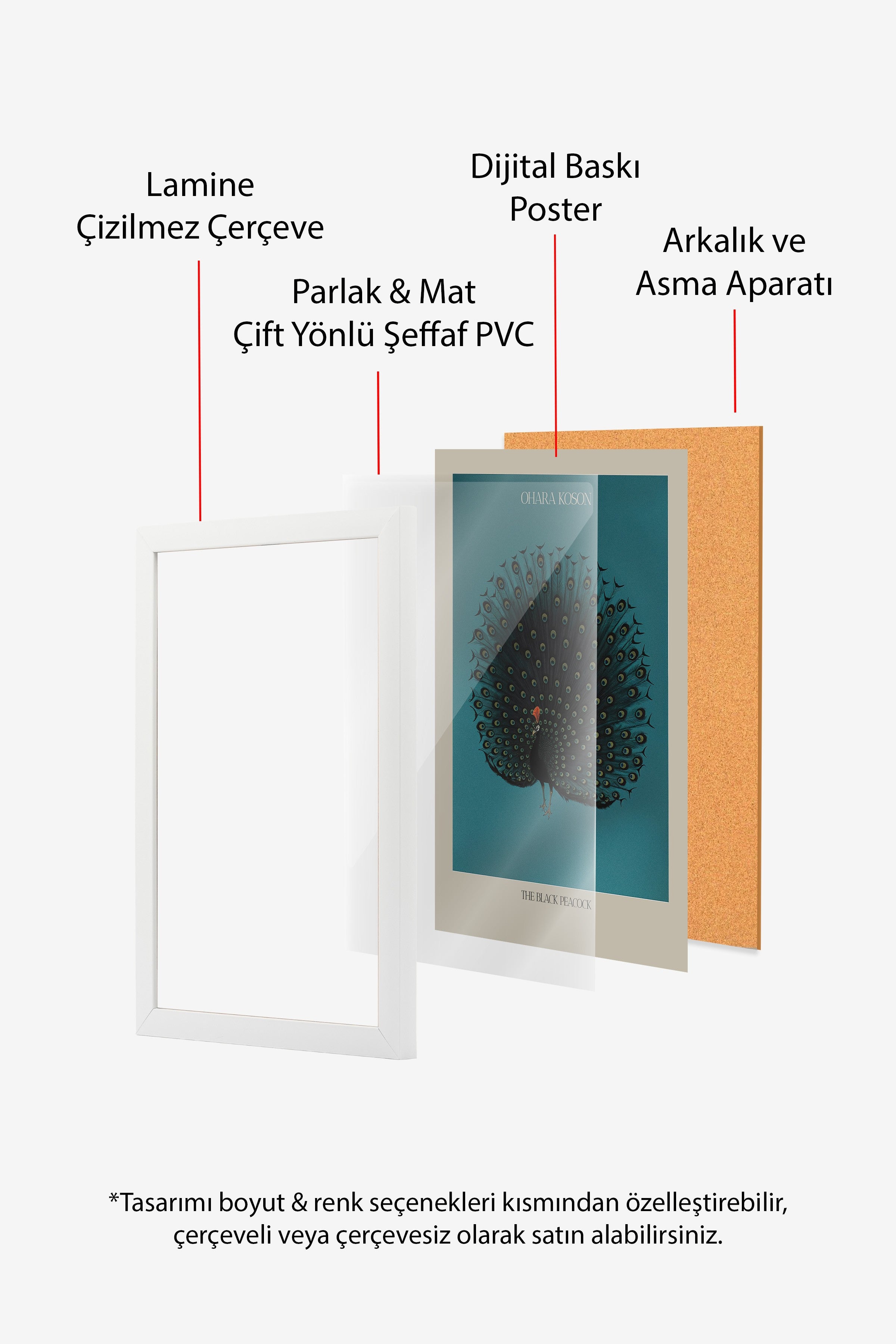 Duvar Tablosu, Beyaz Çerçeveli Tablo ve Poster, Ritüel Serisi, Kuş Tablo, NO:115211
