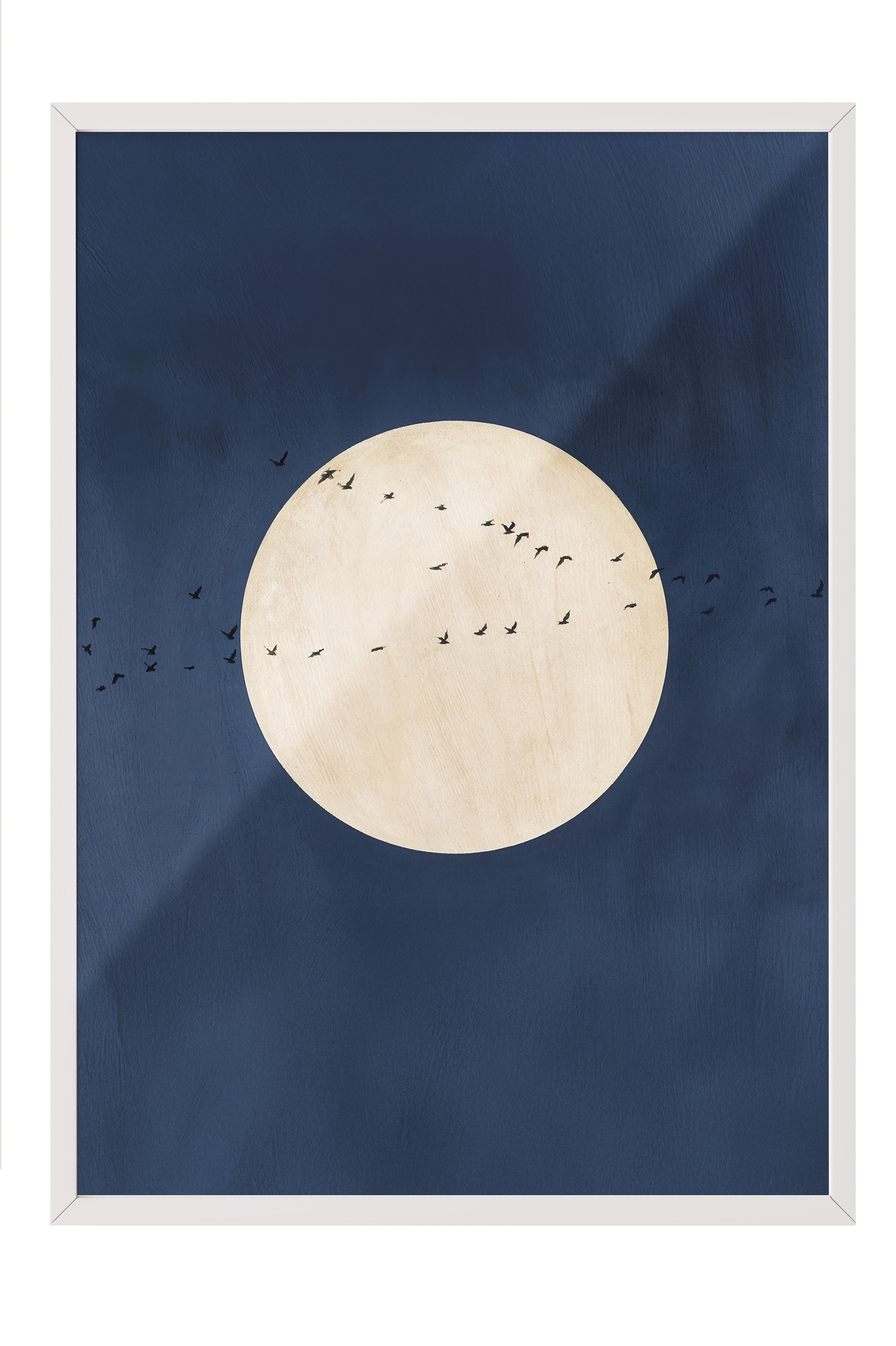 Duvar Tablosu, Beyaz Çerçeveli Tablo ve Poster, Ritüel Serisi, Kuş Tablo, NO:115212