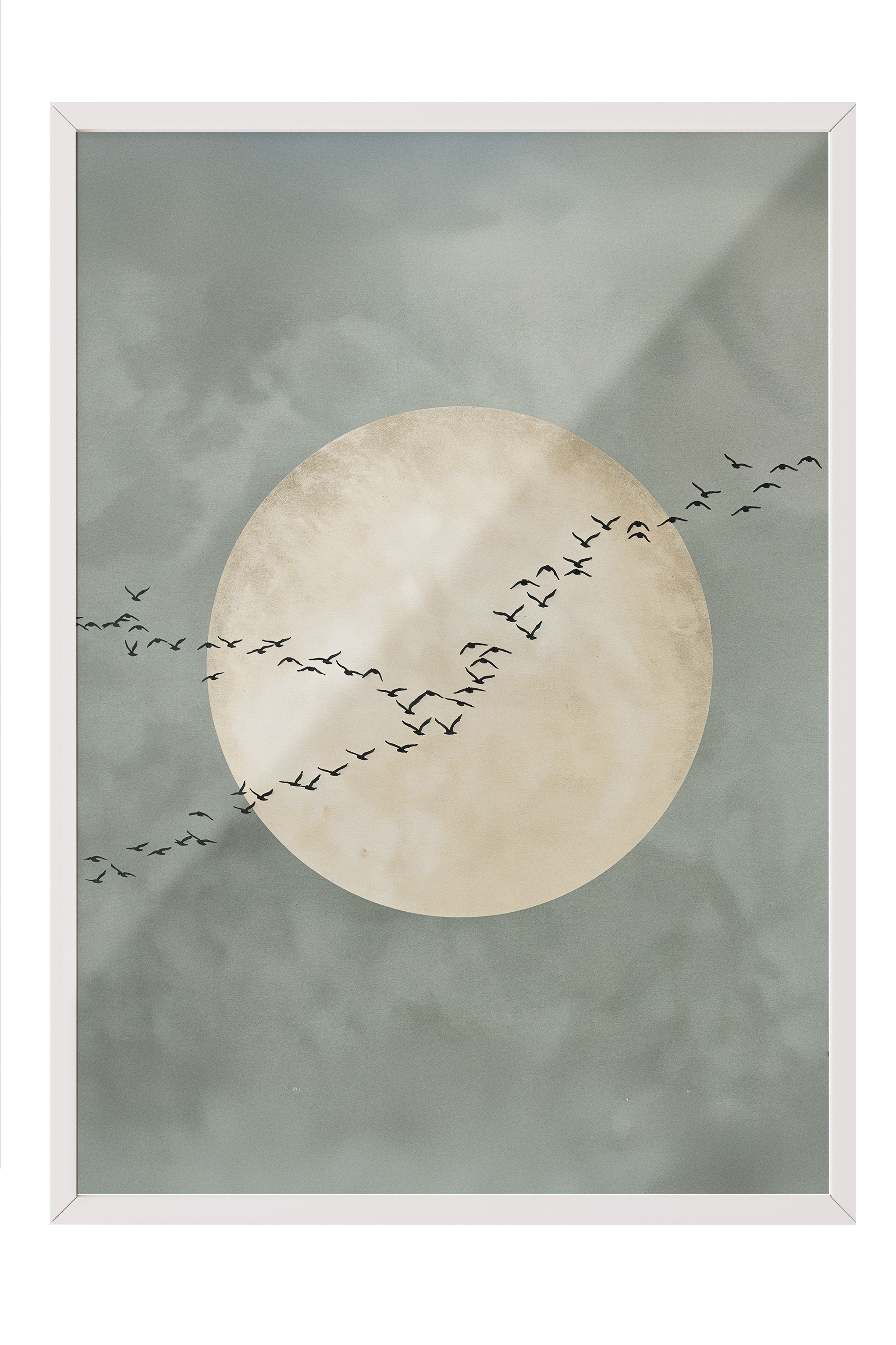 Duvar Tablosu, Beyaz Çerçeveli Tablo ve Poster, Ritüel Serisi, Kuş Tablo, NO:115213