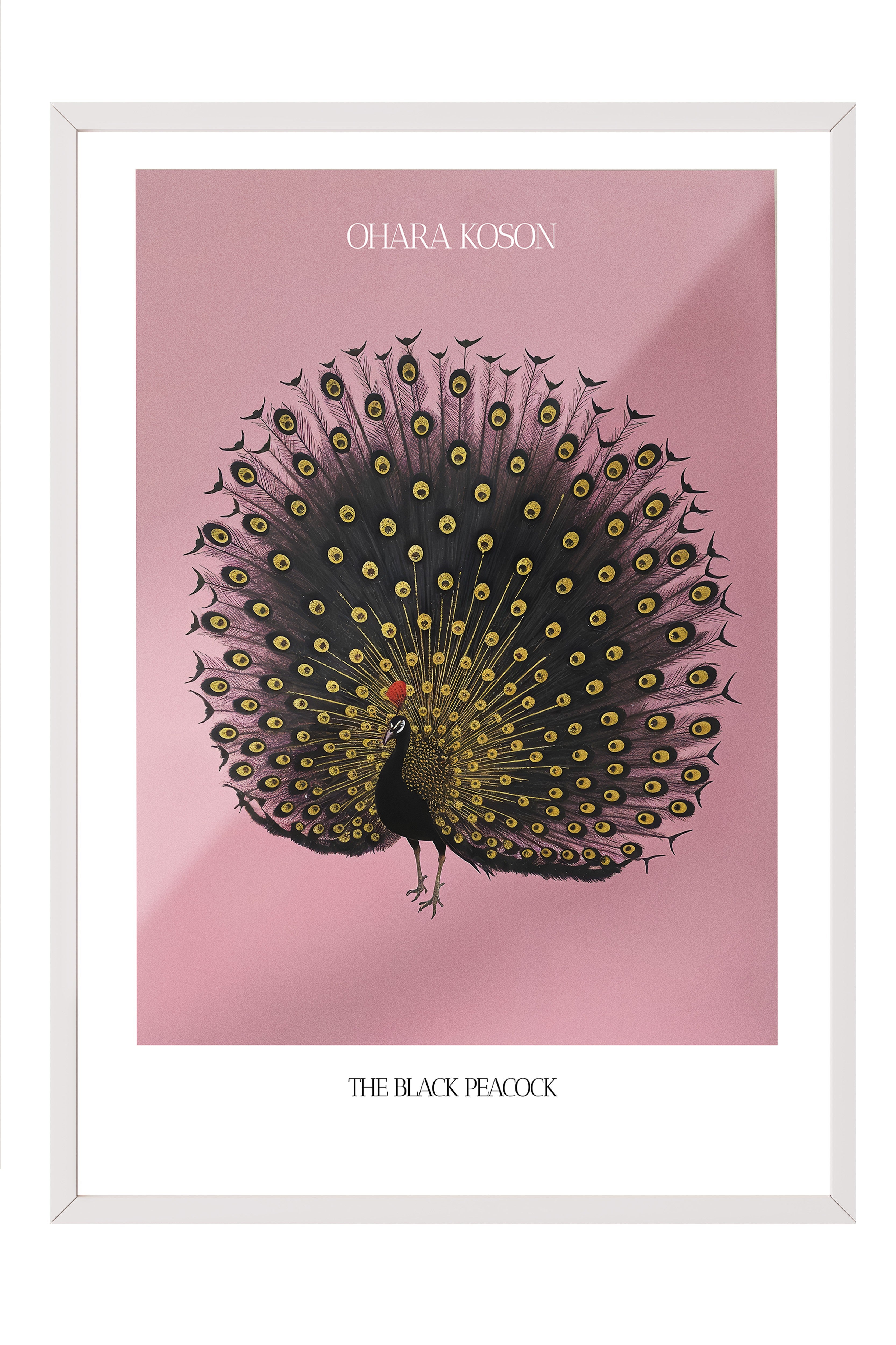 Duvar Tablosu, Beyaz Çerçeveli Tablo ve Poster, Ritüel Serisi, Kuş Tablo, NO:115214