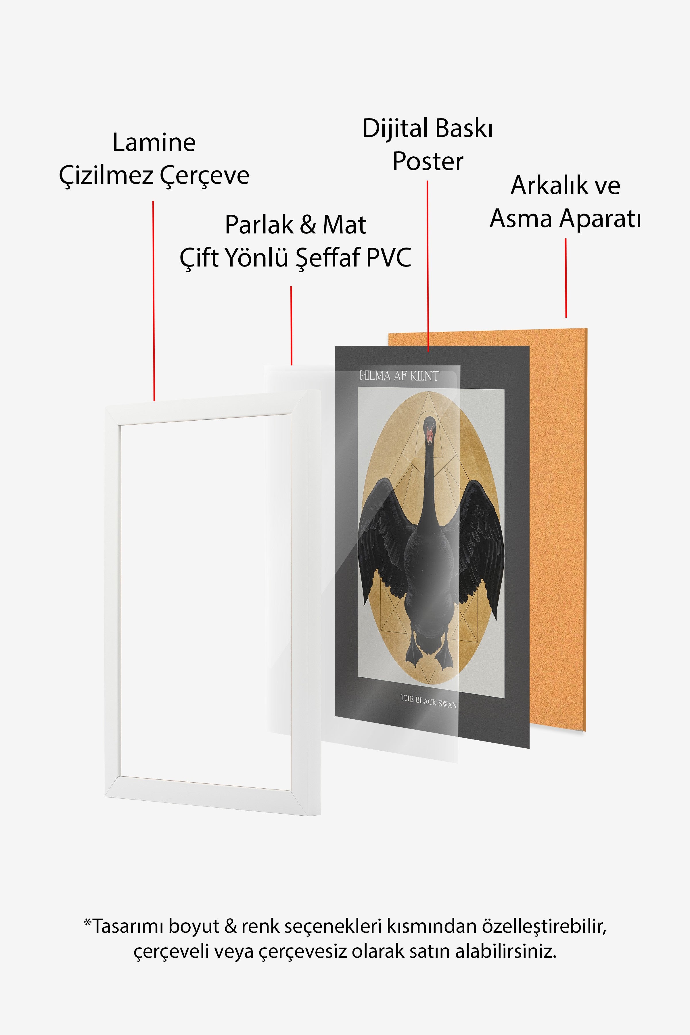 Duvar Tablosu, Beyaz Çerçeveli Tablo ve Poster, Ritüel Serisi, Kuş Tablo, NO:115216