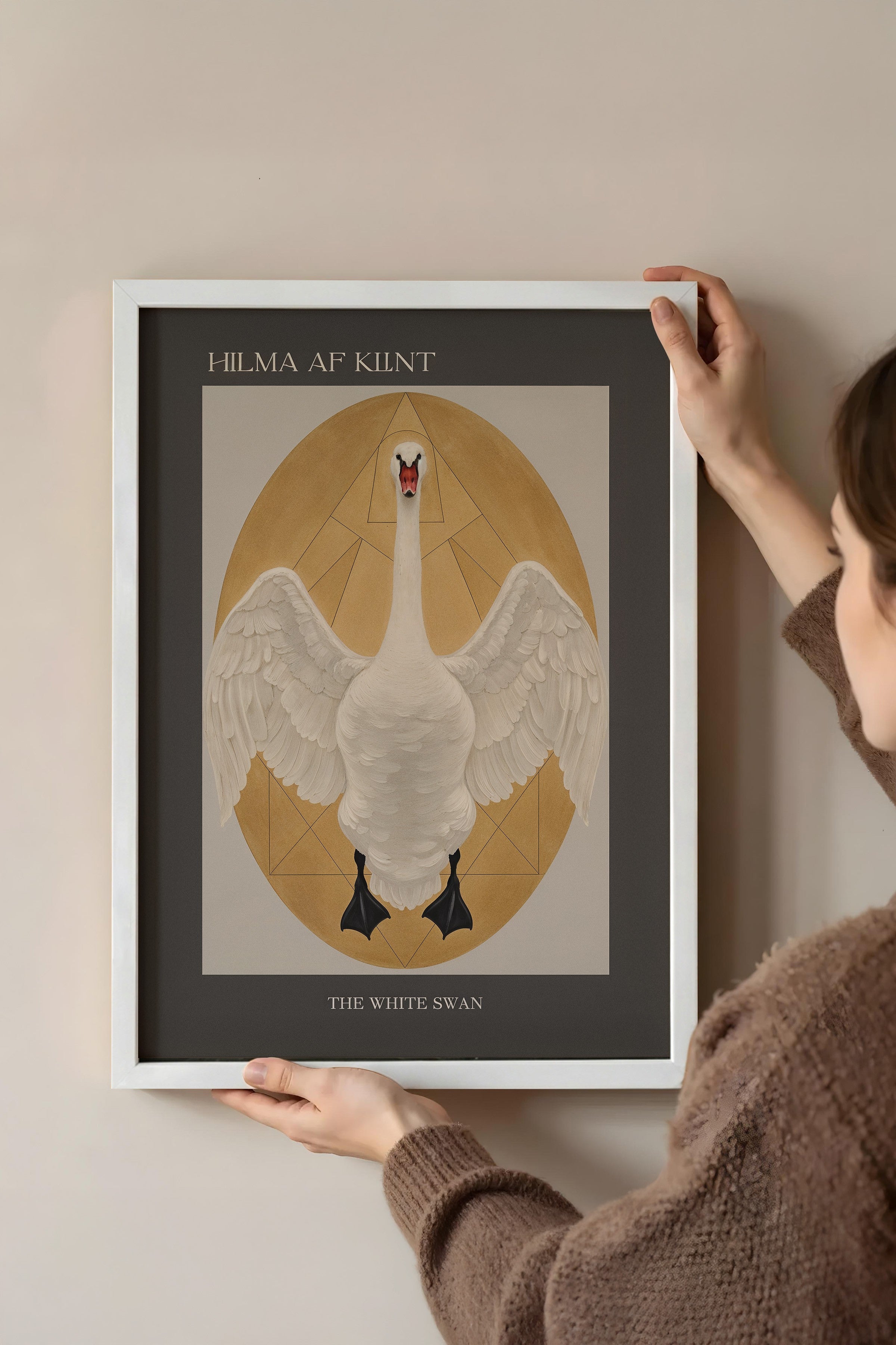 Duvar Tablosu, Beyaz Çerçeveli Tablo ve Poster, Ritüel Serisi, Kuş Tablo, NO:115230