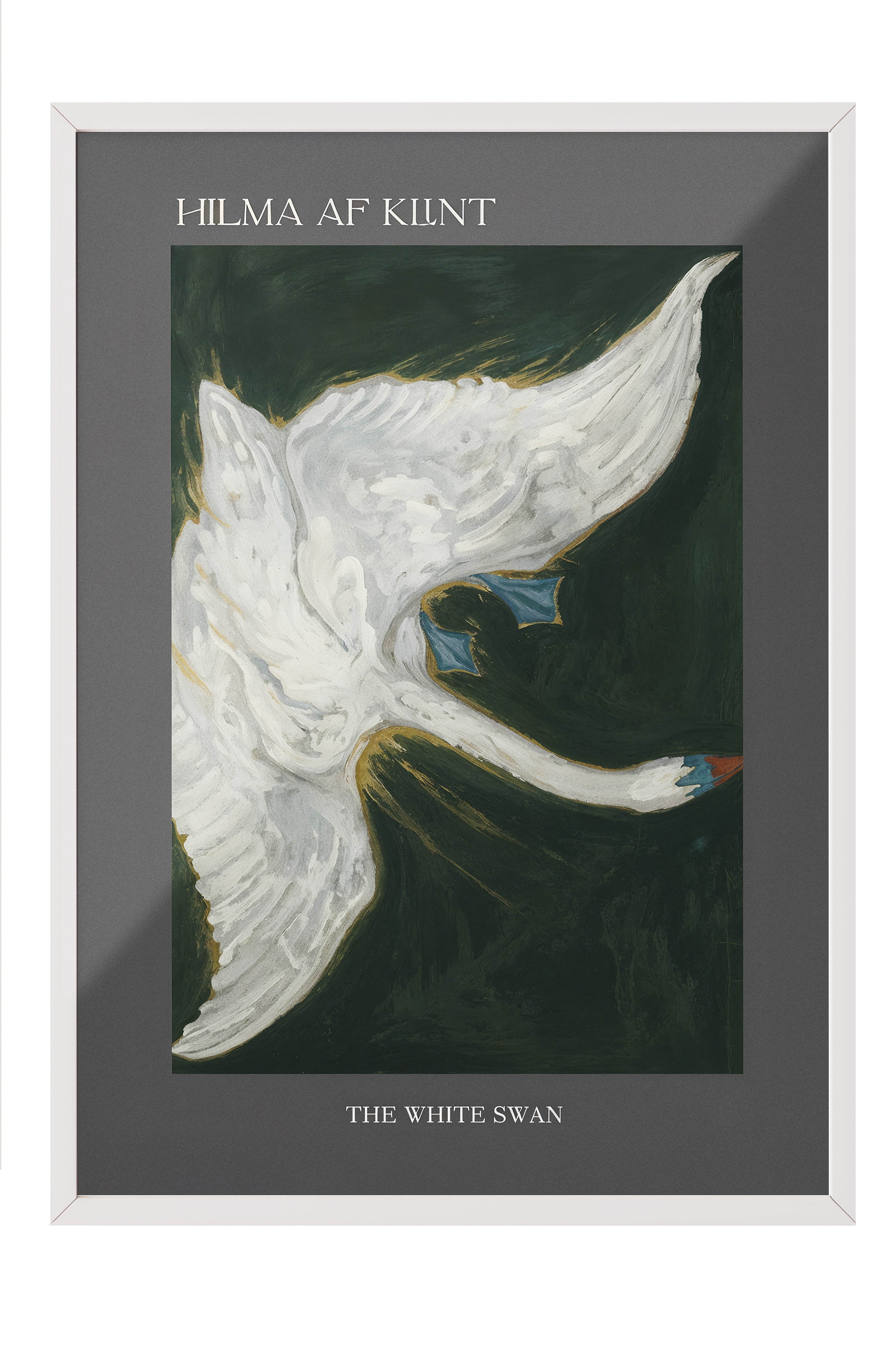 Duvar Tablosu, Beyaz Çerçeveli Tablo ve Poster, Ritüel Serisi, Kuş Tablo, NO:115232