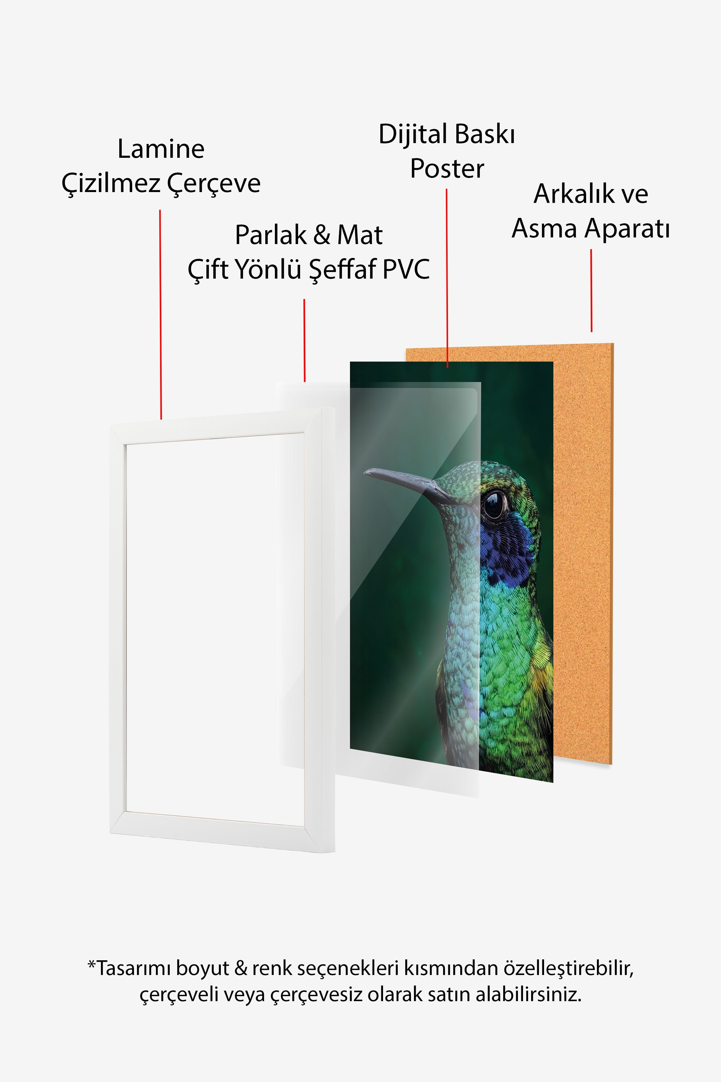 Duvar Tablosu, Beyaz Çerçeveli Tablo ve Poster, Ritüel Serisi, Kuş Tablo, NO:115245