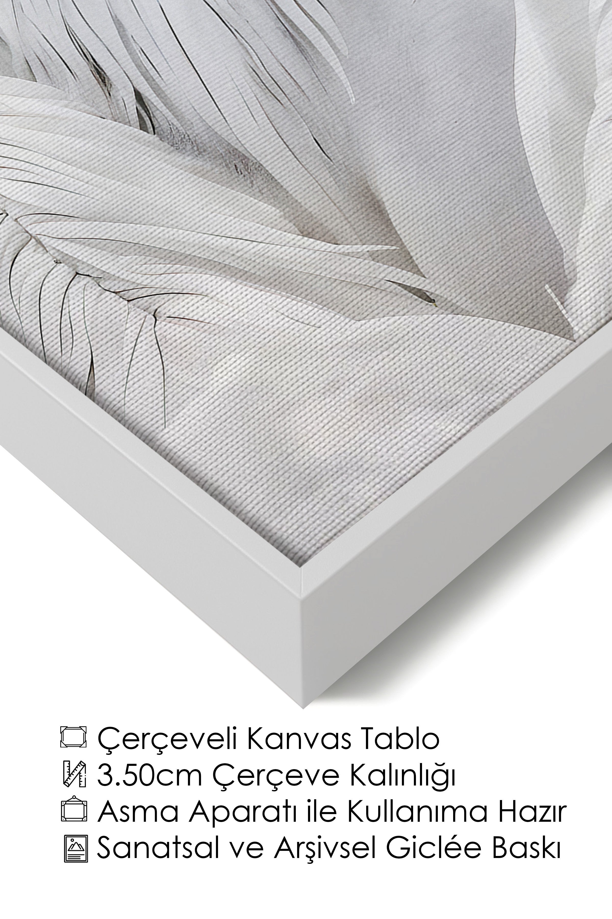 Duvar Tablosu, Lüks Beyaz Çerçeveli Kanvas Tablo, Ritüel Serisi, At Tablo, NO:115191