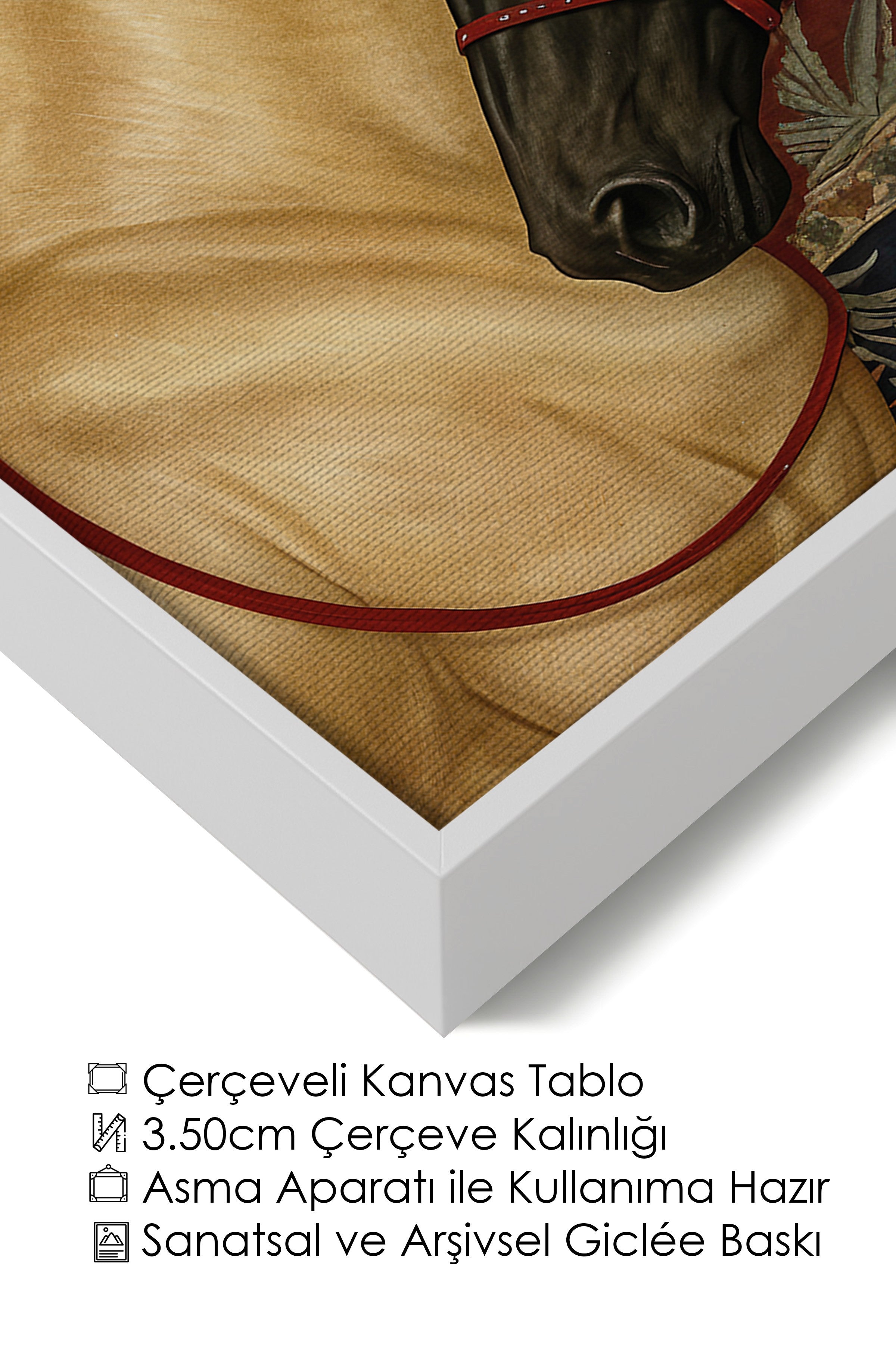 Duvar Tablosu, Lüks Beyaz Çerçeveli Kanvas Tablo, Ritüel Serisi, At Tablo, NO:115197