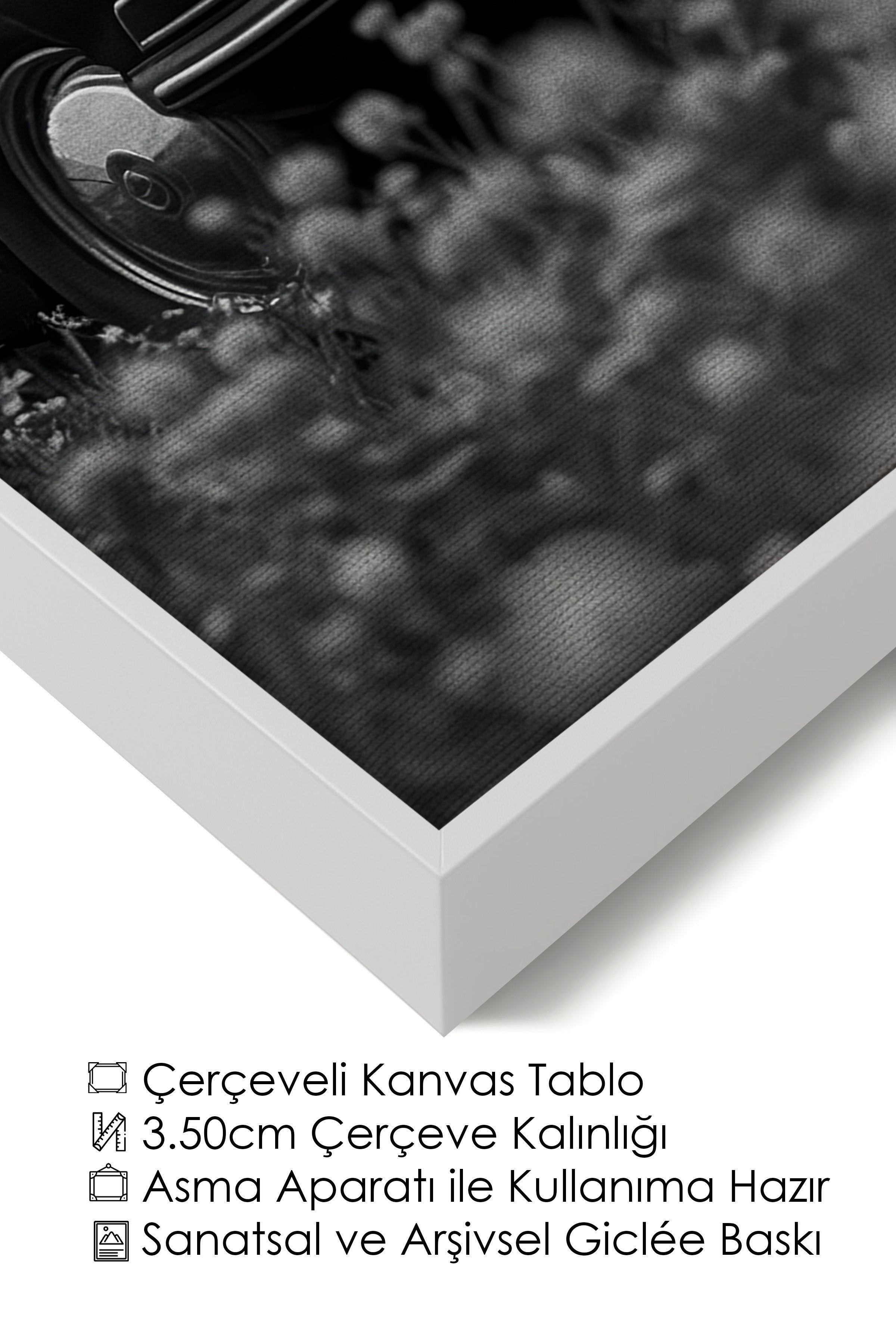 Duvar Tablosu, Lüks Beyaz Çerçeveli Kanvas Tablo, Ritüel Serisi, At Tablo, NO:115225