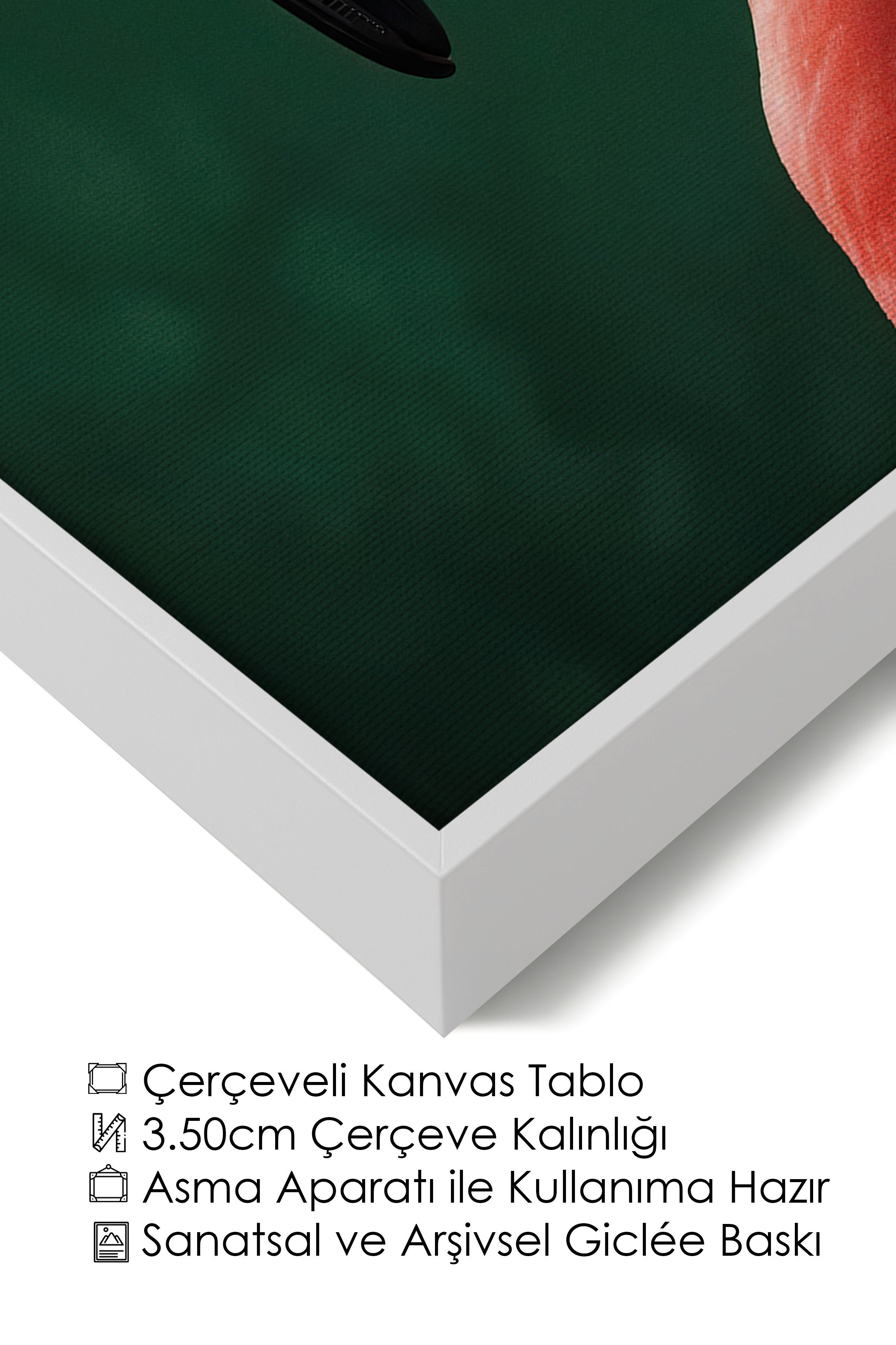 Duvar Tablosu, Lüks Beyaz Çerçeveli Kanvas Tablo, Ritüel Serisi, Kuş Tablo, NO:115198