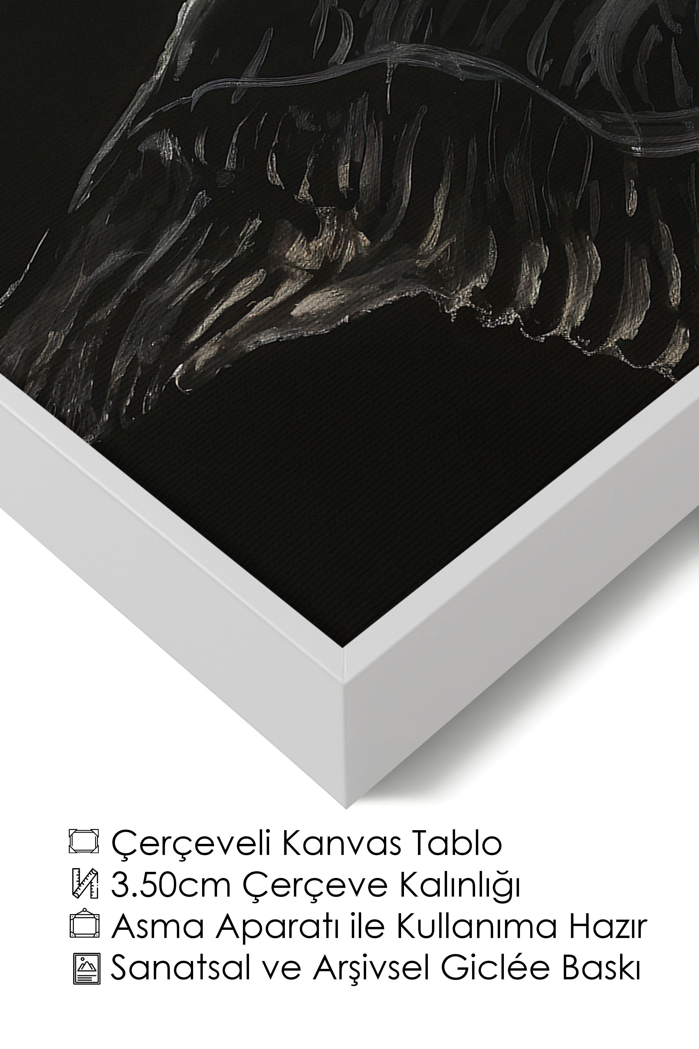 Duvar Tablosu, Lüks Beyaz Çerçeveli Kanvas Tablo, Ritüel Serisi, Kuş Tablo, NO:115199