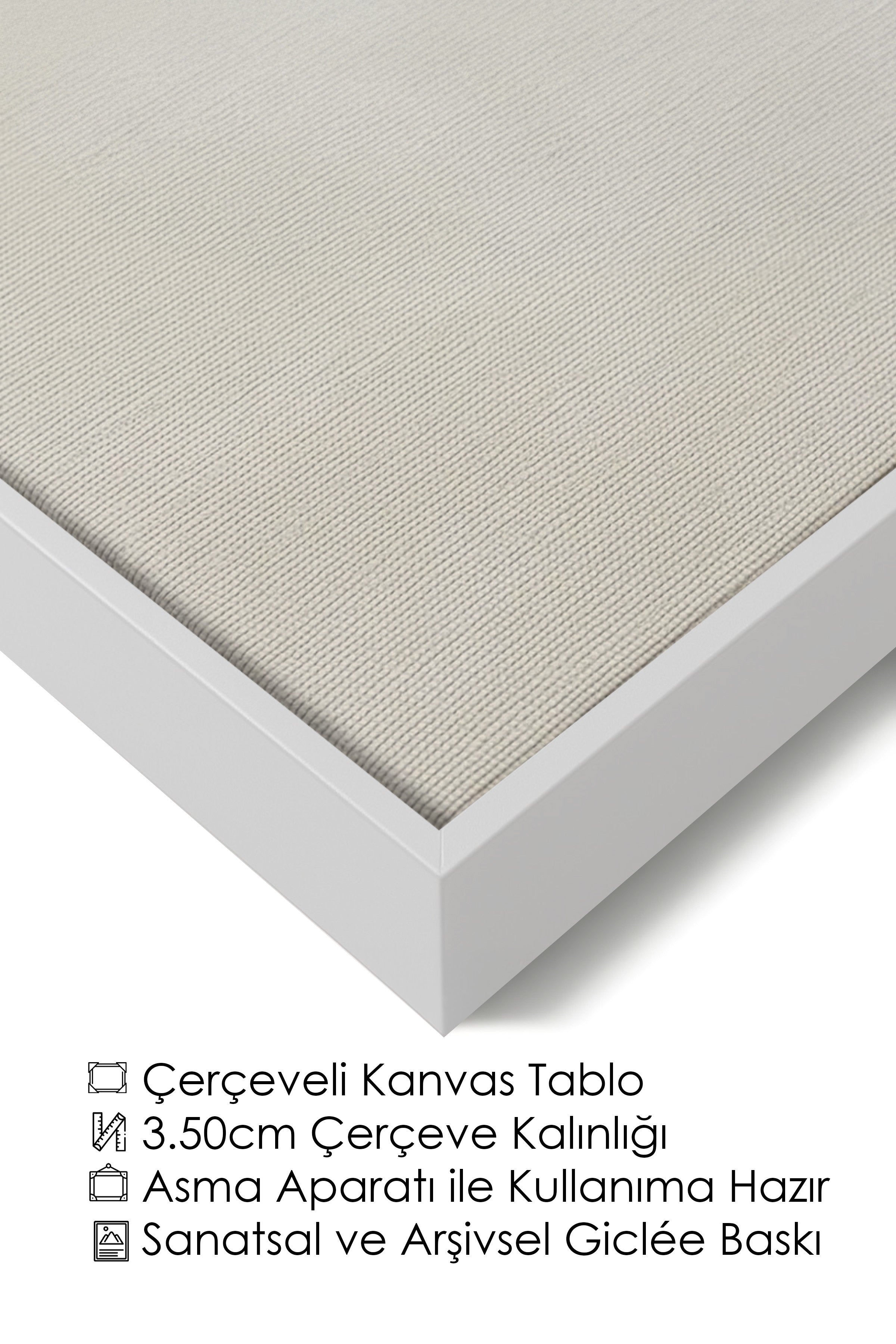 Duvar Tablosu, Lüks Beyaz Çerçeveli Kanvas Tablo, Ritüel Serisi, Kuş Tablo, NO:115204