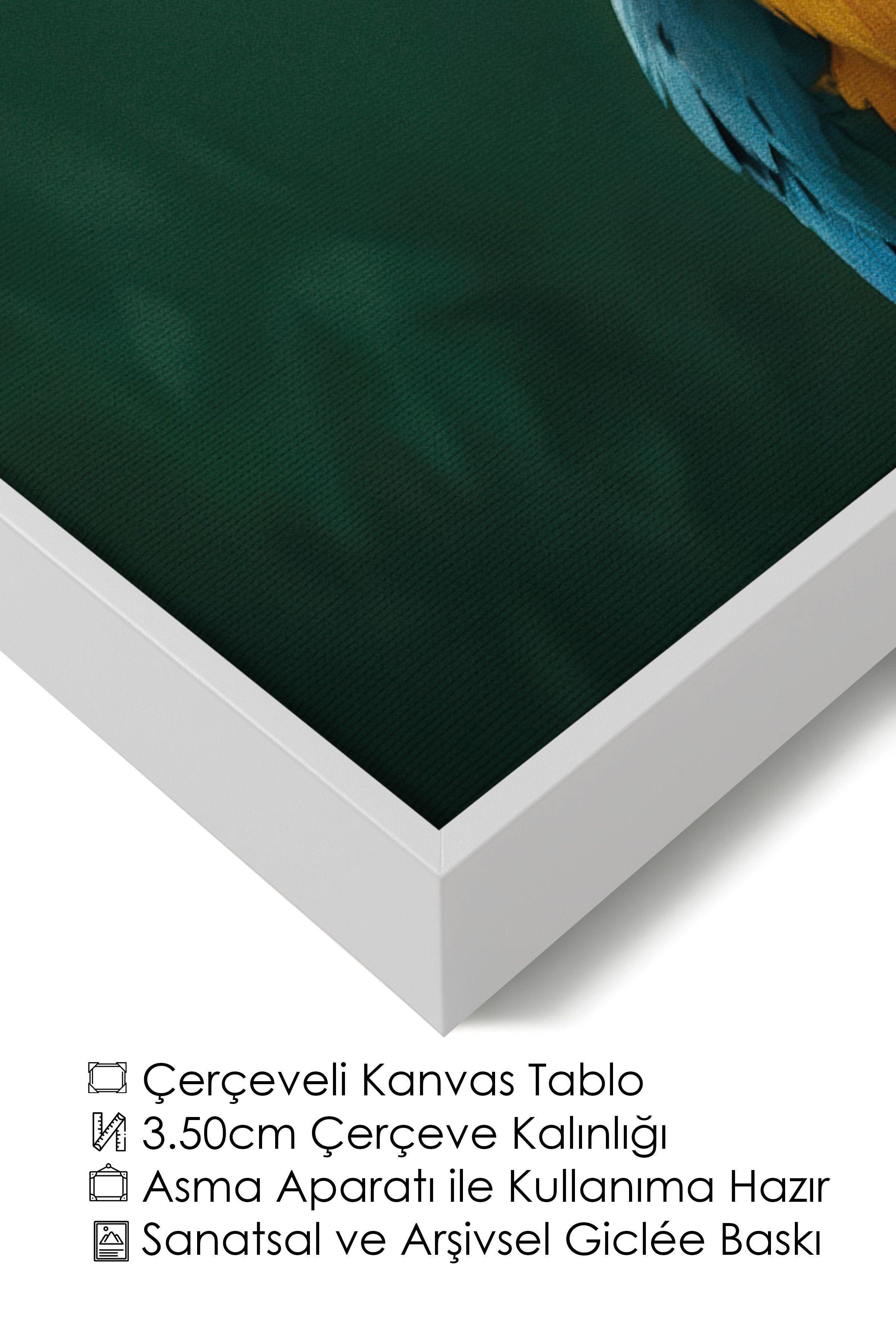 Duvar Tablosu, Lüks Beyaz Çerçeveli Kanvas Tablo, Ritüel Serisi, Kuş Tablo, NO:115207