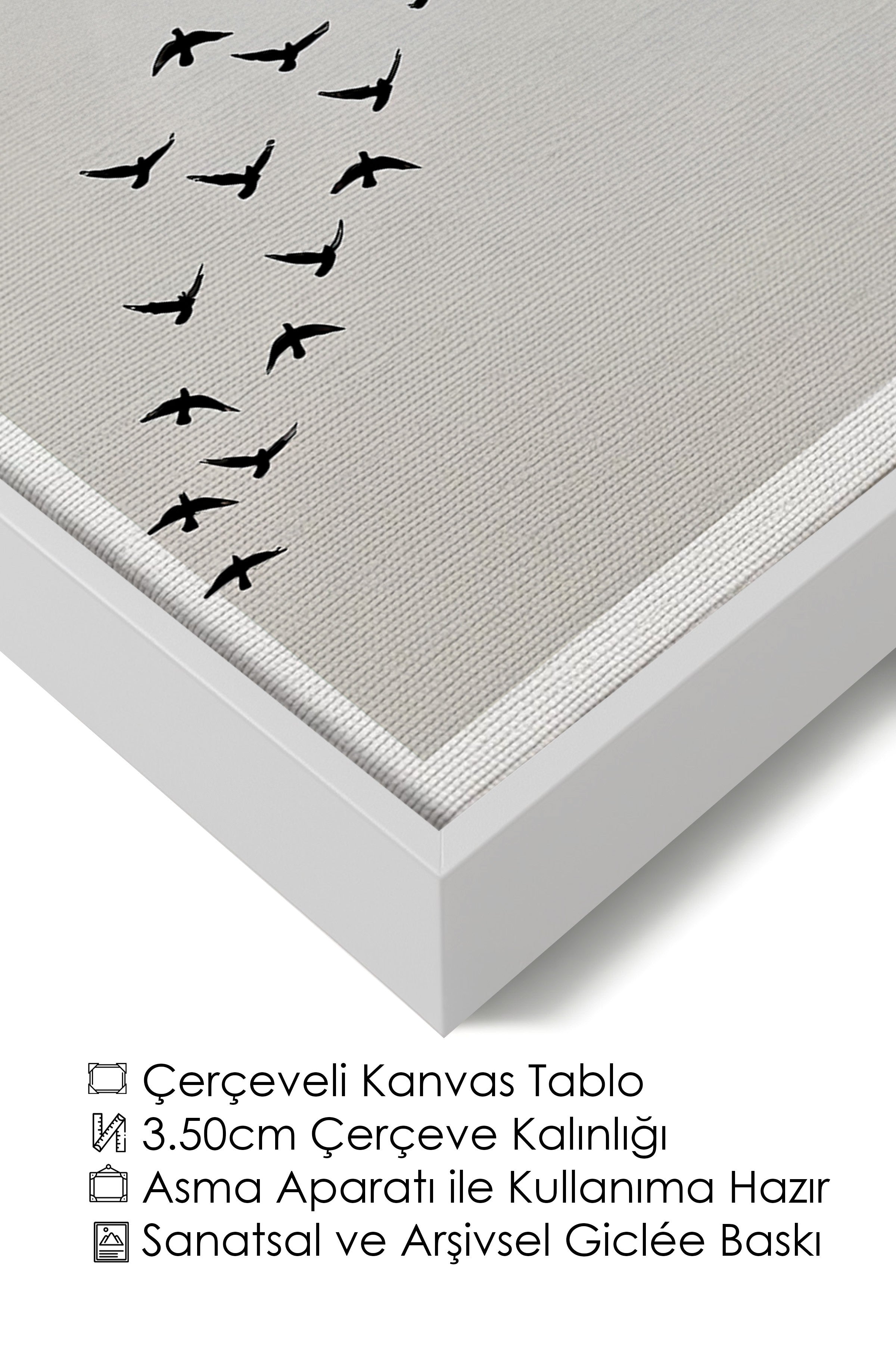 Duvar Tablosu, Lüks Beyaz Çerçeveli Kanvas Tablo, Ritüel Serisi, Kuş Tablo, NO:115210