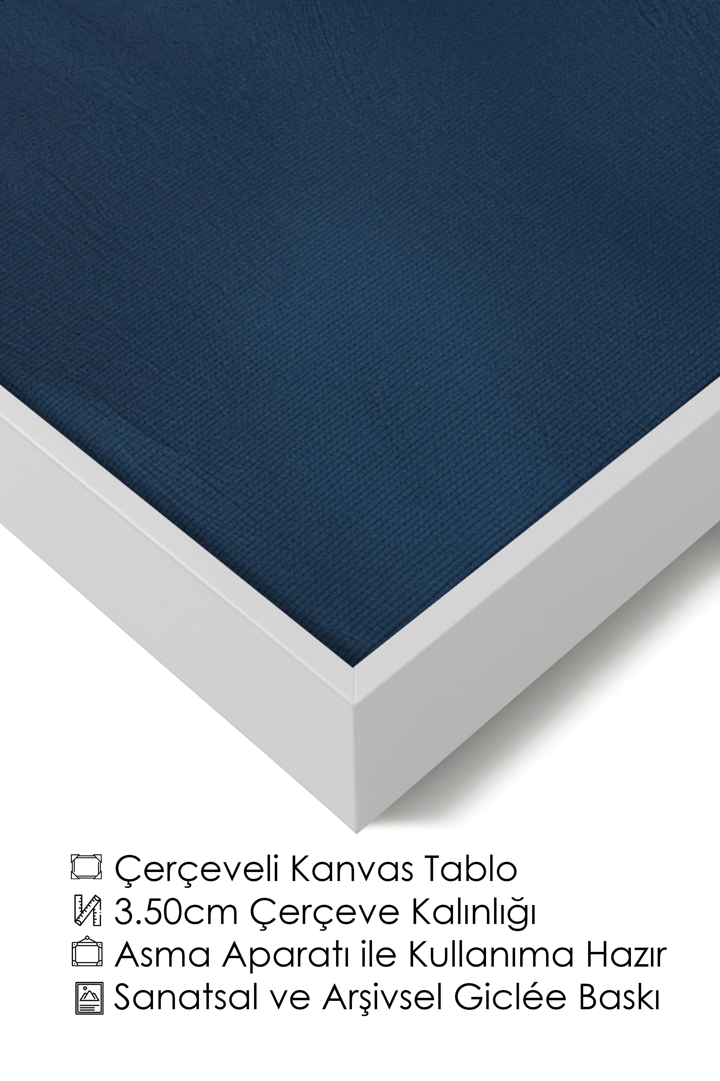Duvar Tablosu, Lüks Beyaz Çerçeveli Kanvas Tablo, Ritüel Serisi, Kuş Tablo, NO:115212
