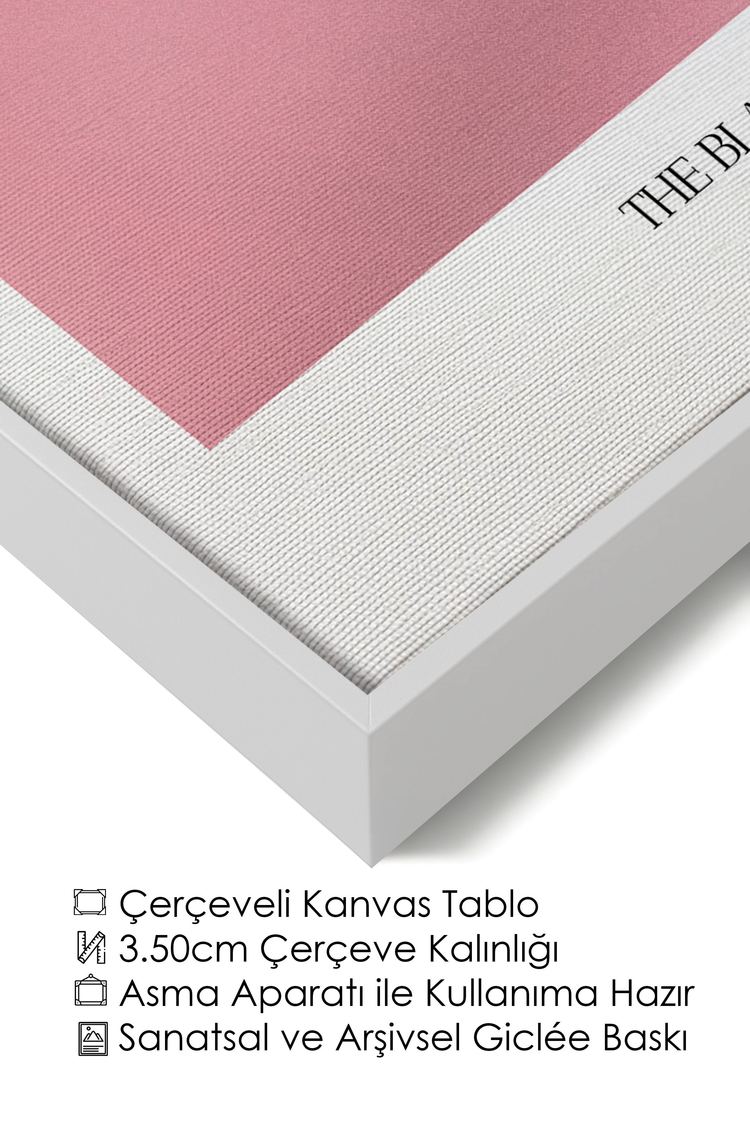 Duvar Tablosu, Lüks Beyaz Çerçeveli Kanvas Tablo, Ritüel Serisi, Kuş Tablo, NO:115214