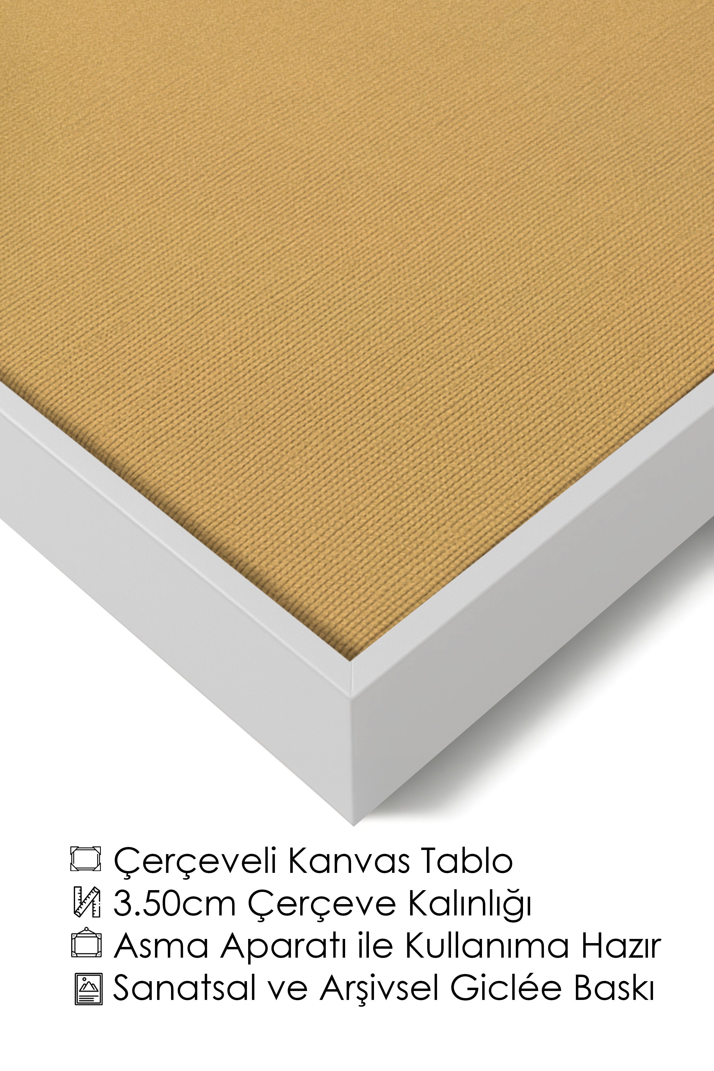 Duvar Tablosu, Lüks Beyaz Çerçeveli Kanvas Tablo, Ritüel Serisi, Kuş Tablo, NO:115224