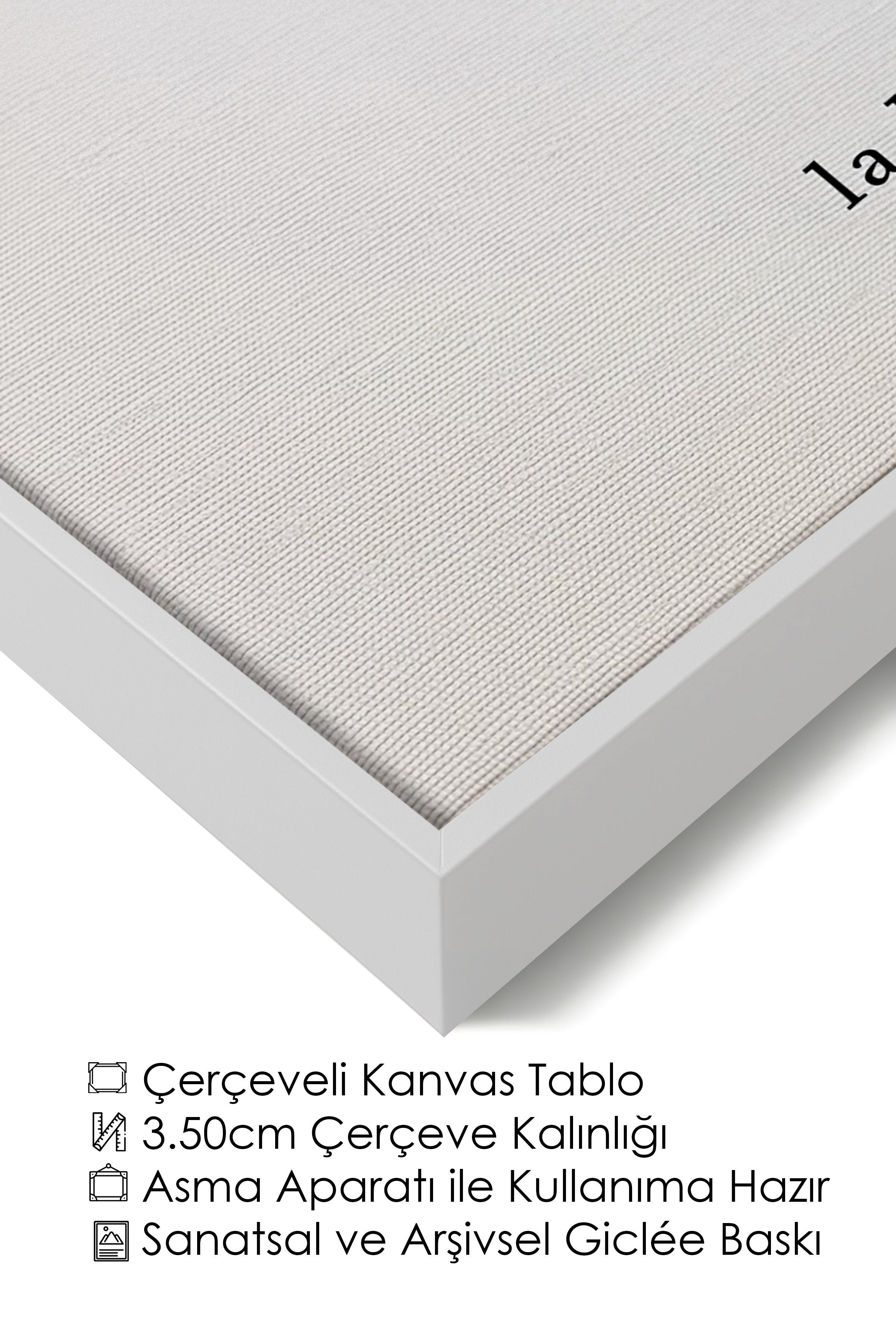 Duvar Tablosu, Lüks Beyaz Çerçeveli Kanvas Tablo, Ritüel Serisi, Kuş Tablo, NO:115227