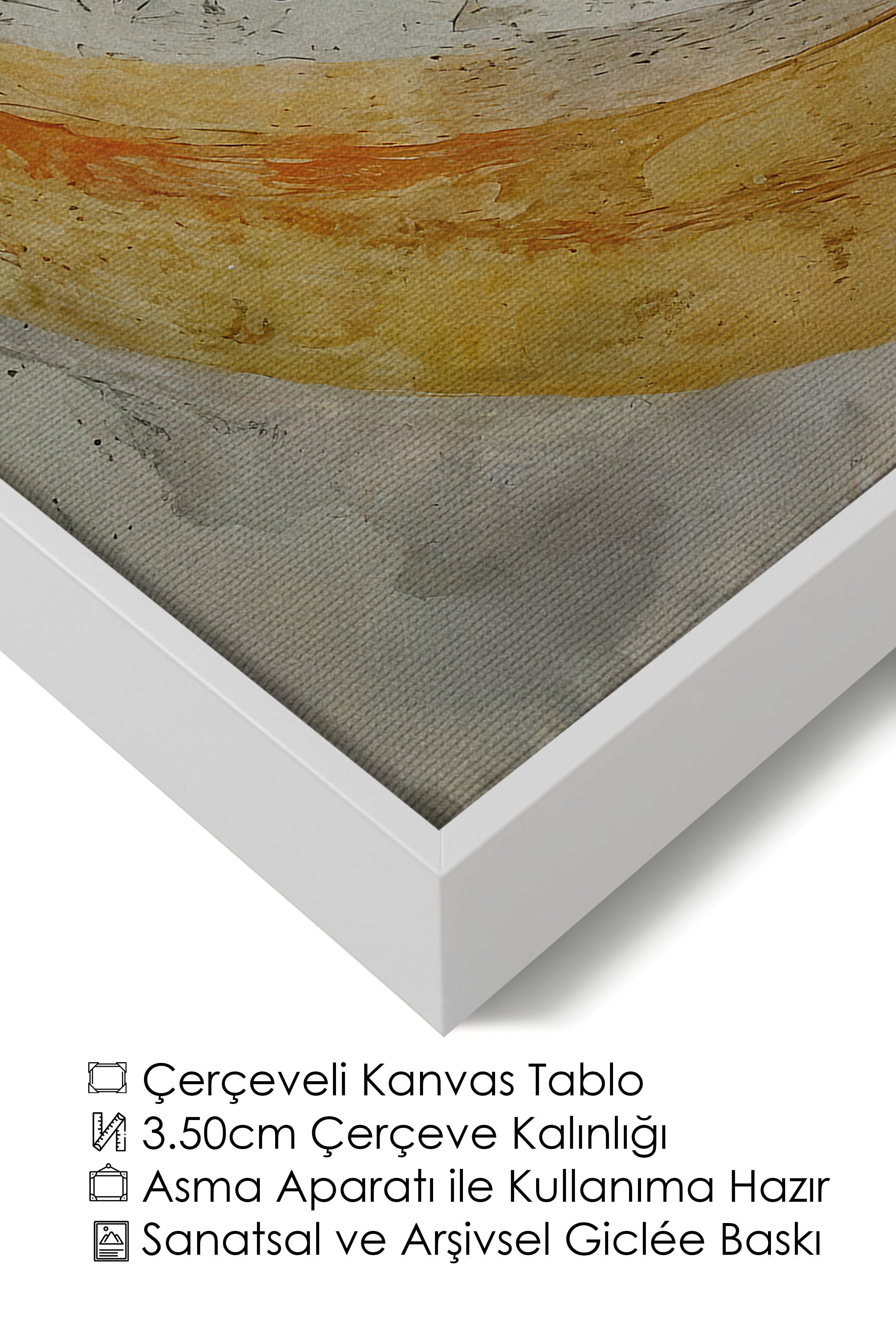 Duvar Tablosu, Lüks Beyaz Çerçeveli Kanvas Tablo, Ritüel Serisi, Kuş Tablo, NO:115235