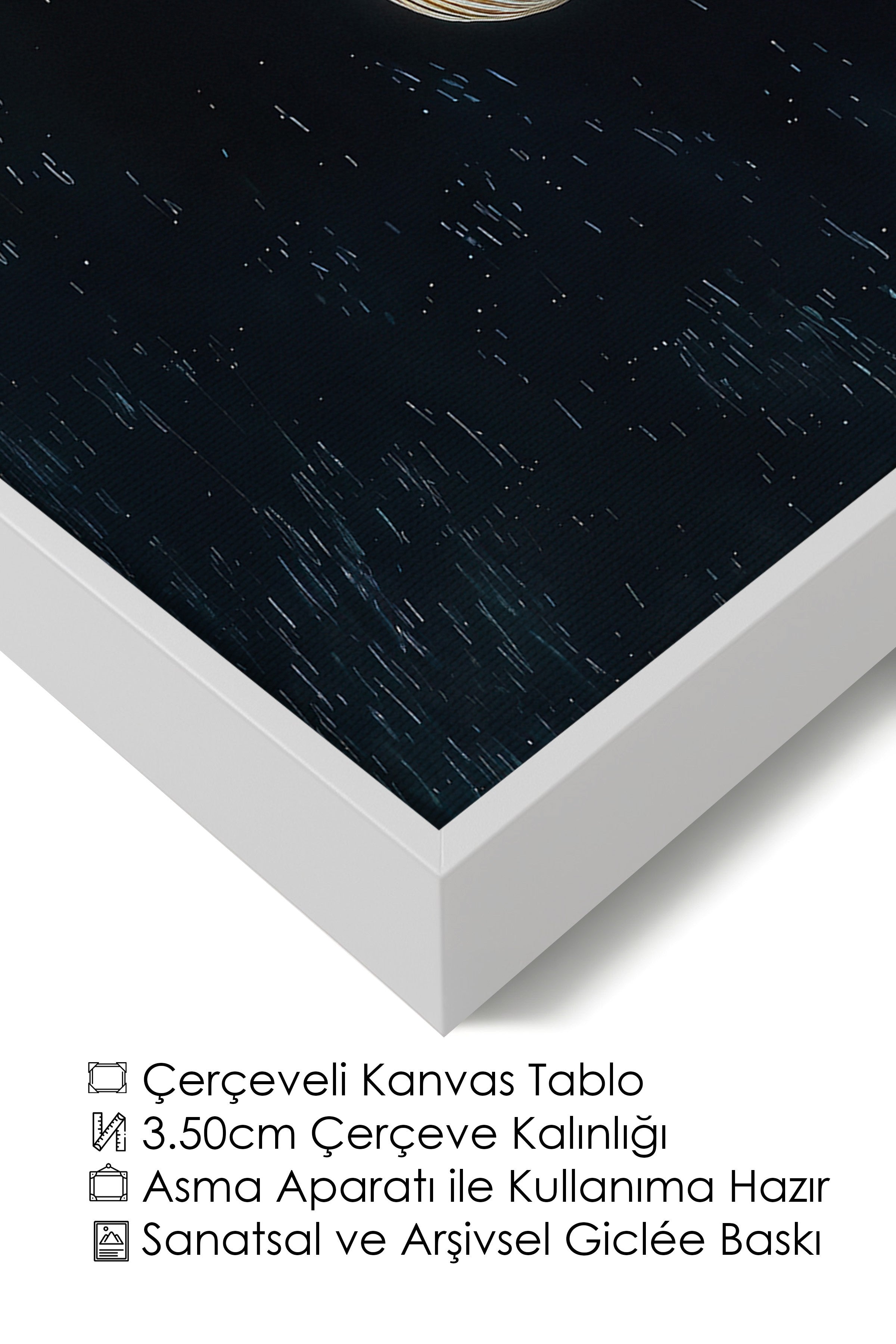 Duvar Tablosu, Lüks Beyaz Çerçeveli Kanvas Tablo, Ritüel Serisi, Kuş Tablo, NO:115243