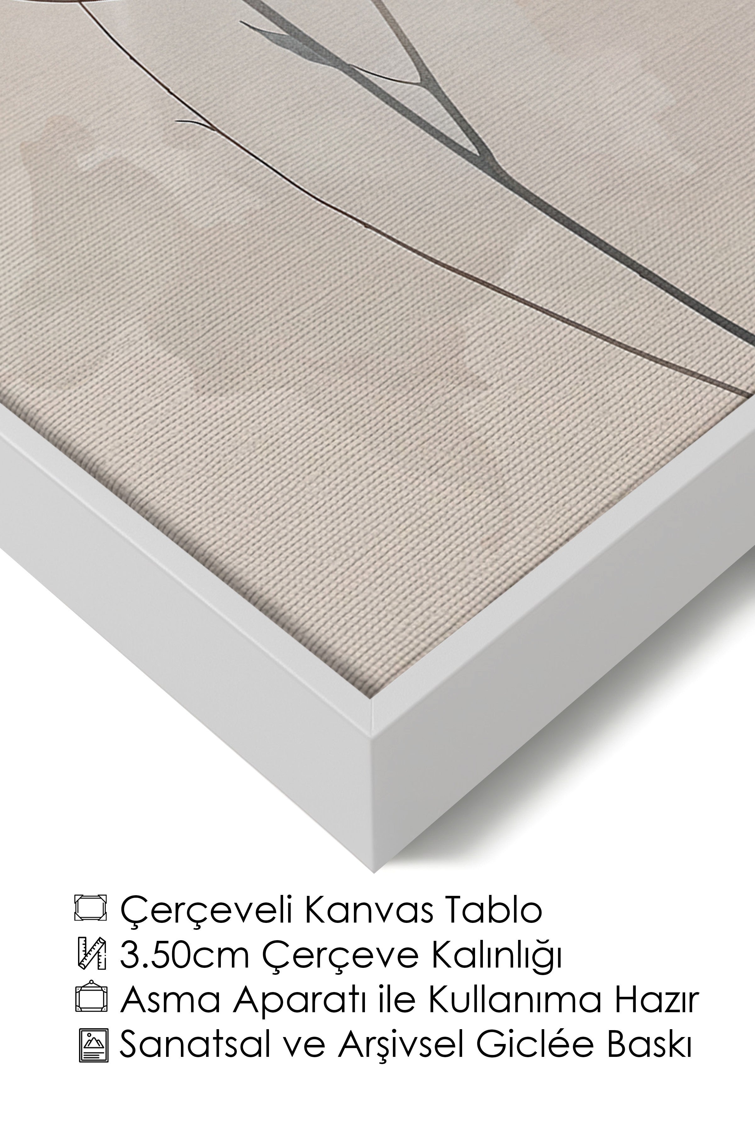 Duvar Tablosu, Lüks Beyaz Çerçeveli Kanvas Tablo, Ritüel Serisi, Kuş Tablo, NO:115244