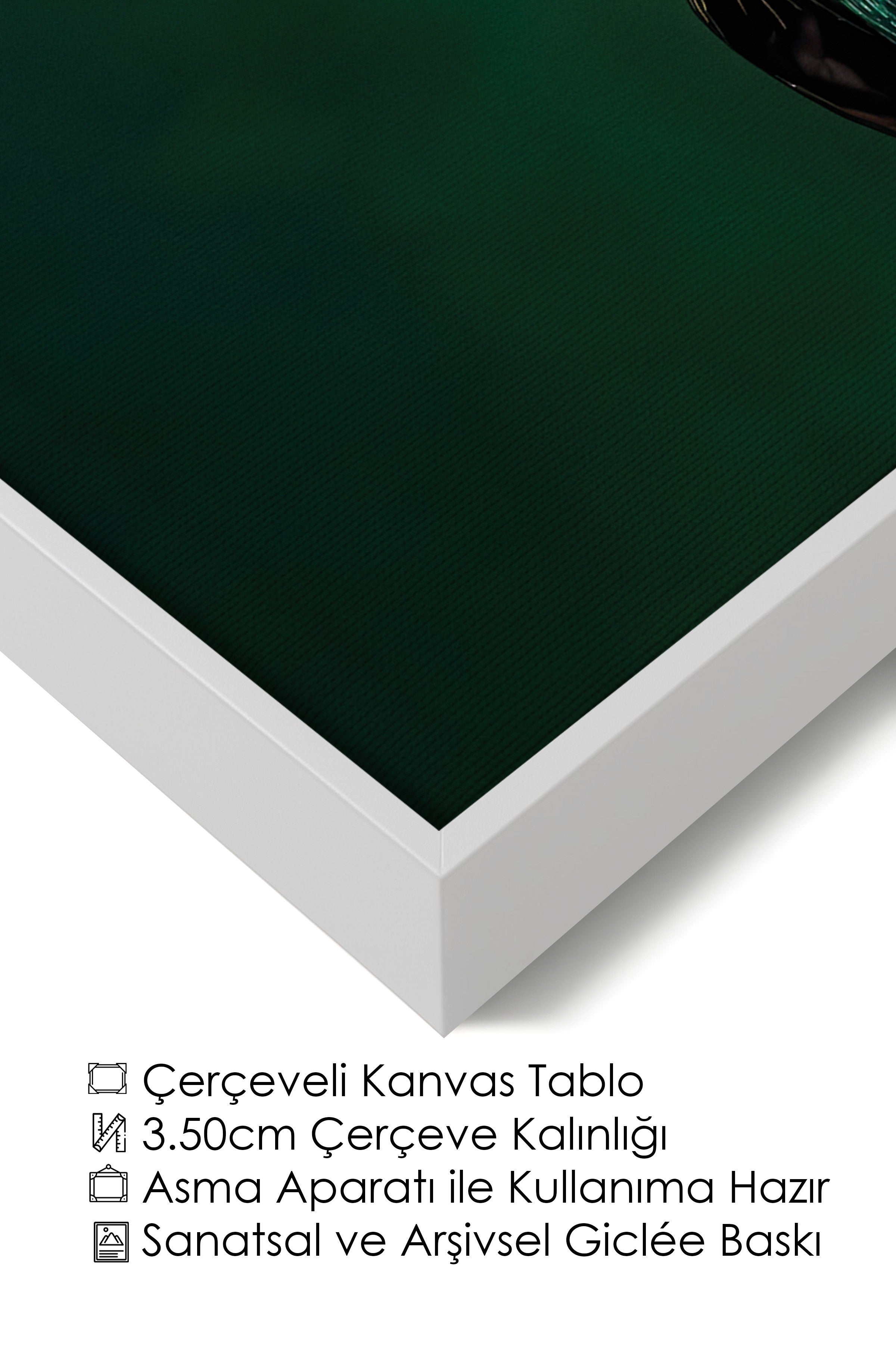 Duvar Tablosu, Lüks Beyaz Çerçeveli Kanvas Tablo, Ritüel Serisi, Kuş Tablo, NO:115245
