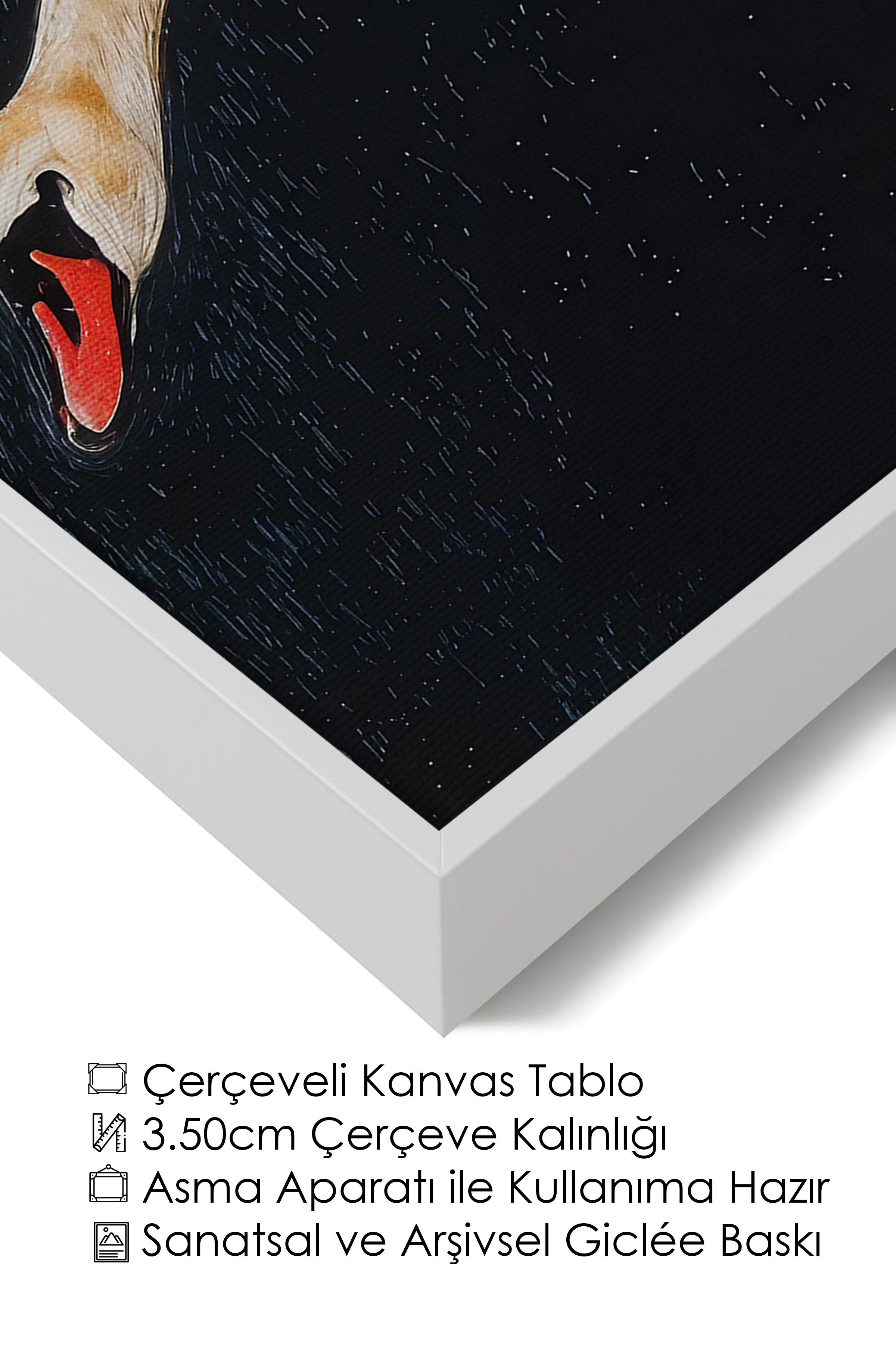 Duvar Tablosu, Lüks Beyaz Çerçeveli Kanvas Tablo, Ritüel Serisi, Kuş Tablo, NO:115246