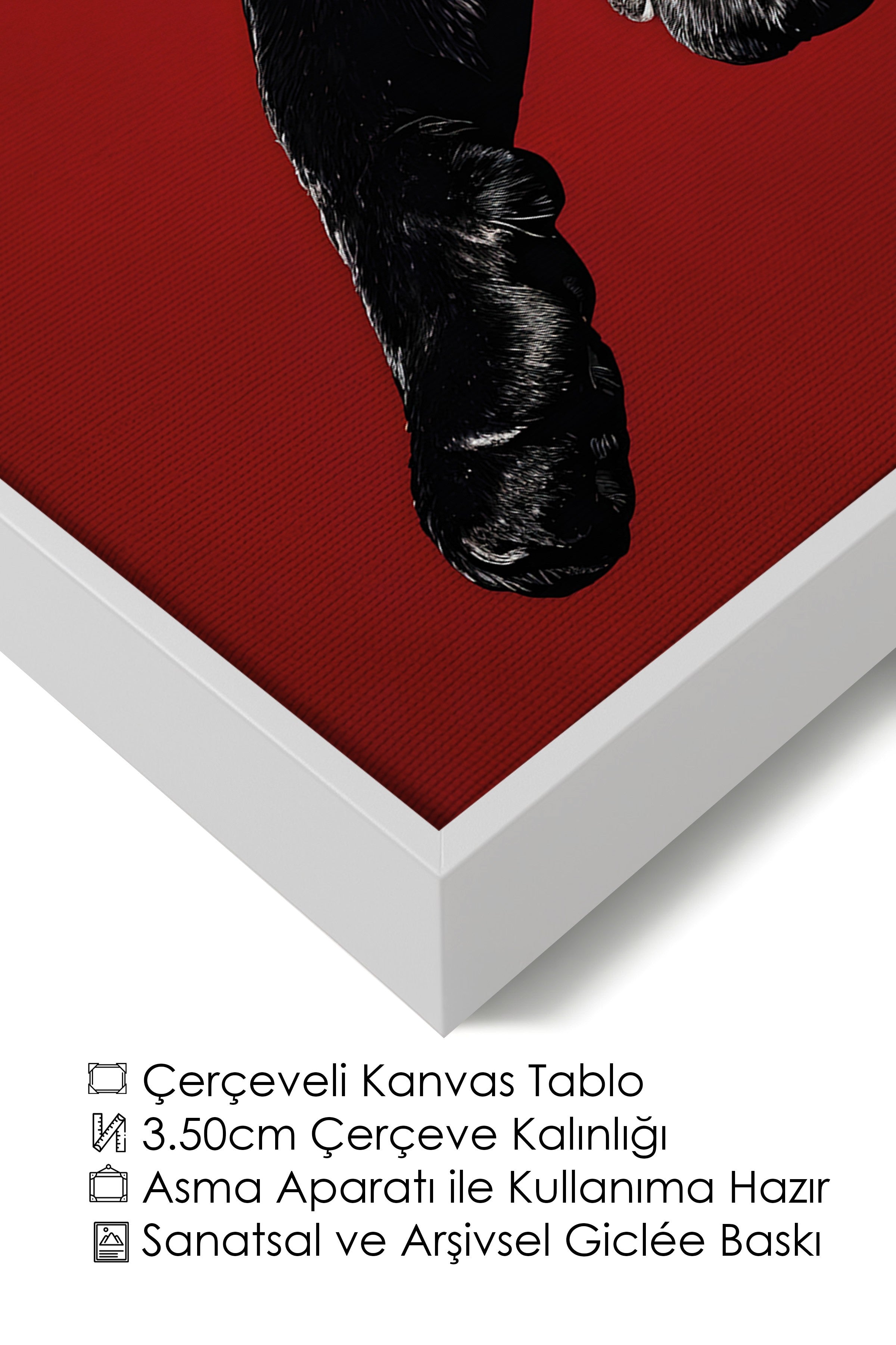 Duvar Tablosu, Lüks Beyaz Çerçeveli Kanvas Tablo, Ritüel Serisi, Leopar Tablo, NO:115261