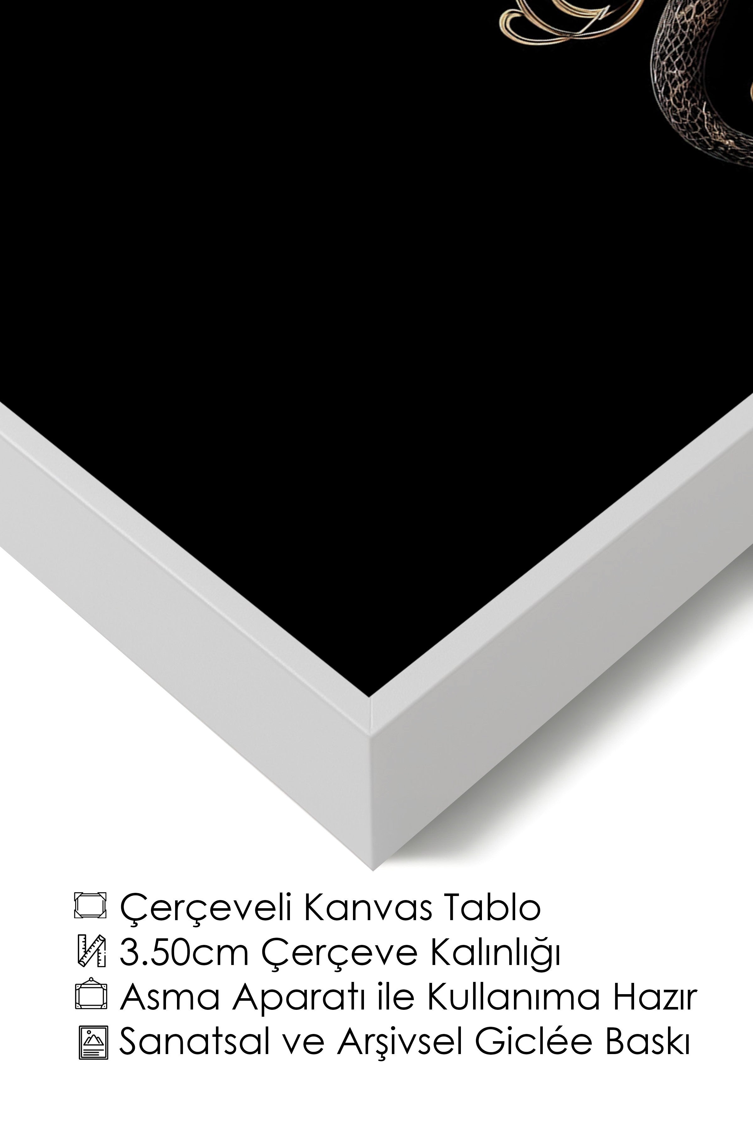 Duvar Tablosu, Lüks Beyaz Çerçeveli Kanvas Tablo, Ritüel Serisi, Yılan Tablo, NO:115259