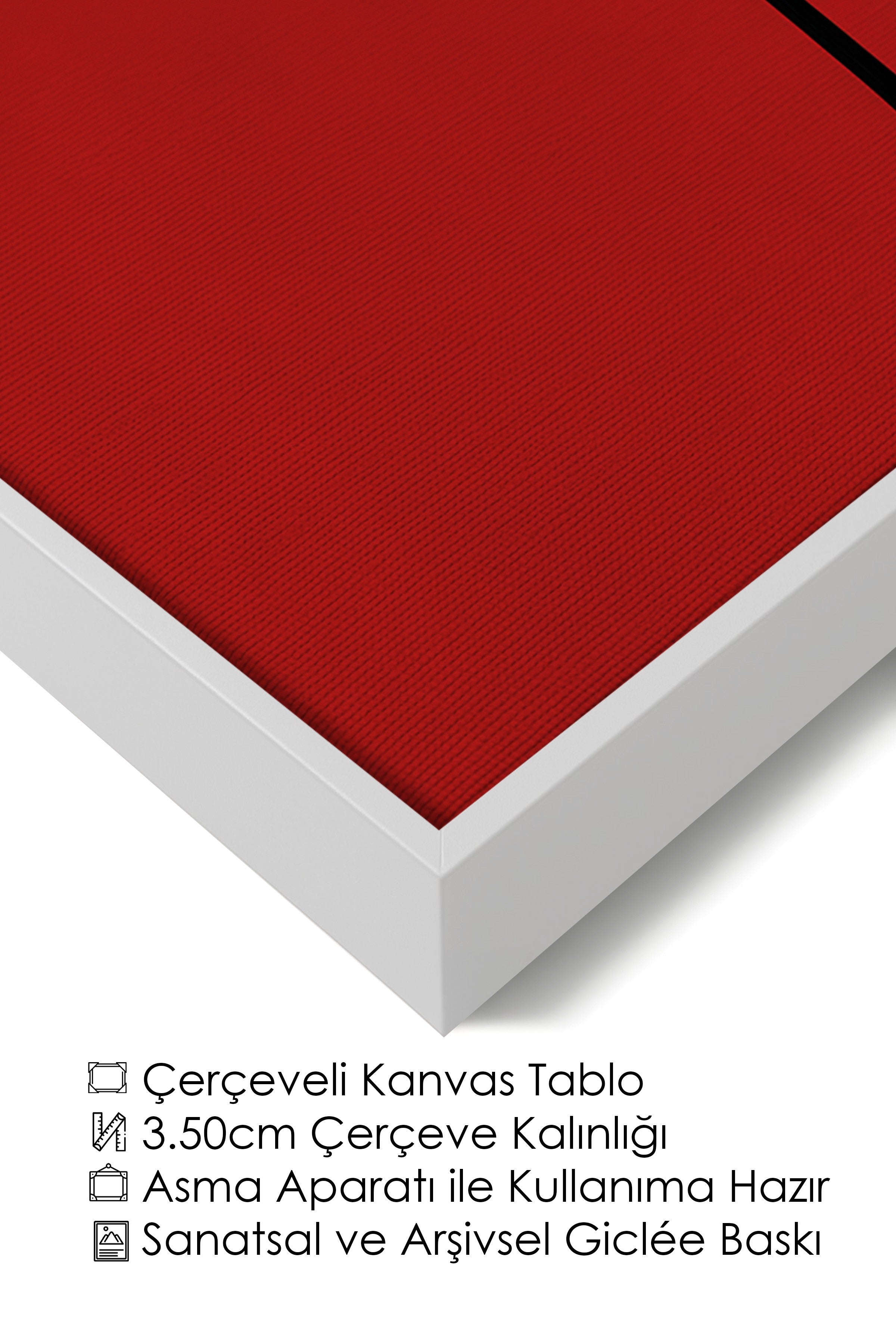 Duvar Tablosu, Lüks Beyaz Çerçeveli Kanvas Tablo, Ritüel Serisi, Yılan Tablo, NO:115276