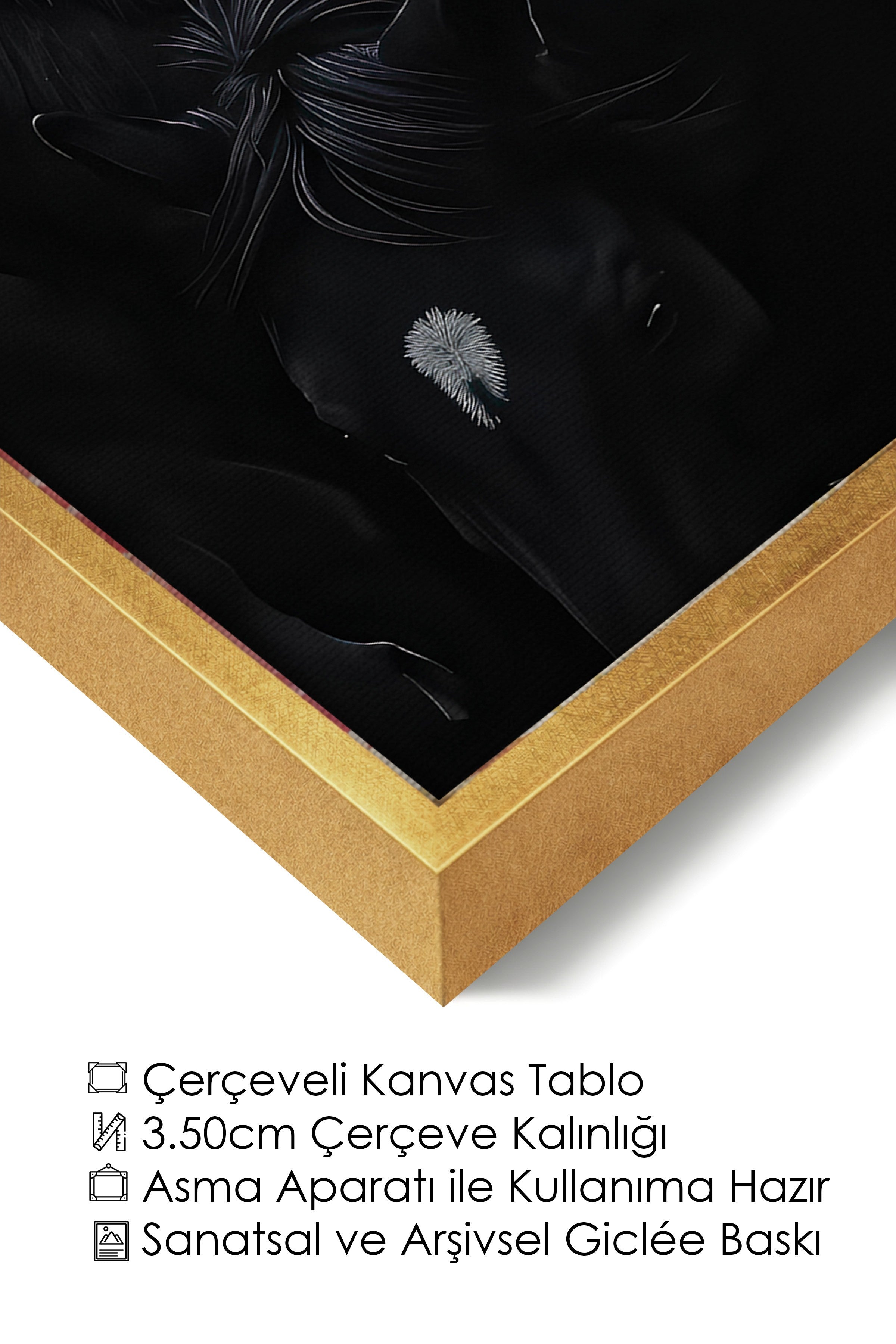 Duvar Tablosu, Lüks Gold Çerçeveli Kanvas Tablo, Ritüel Serisi, At Tablo, NO:115190