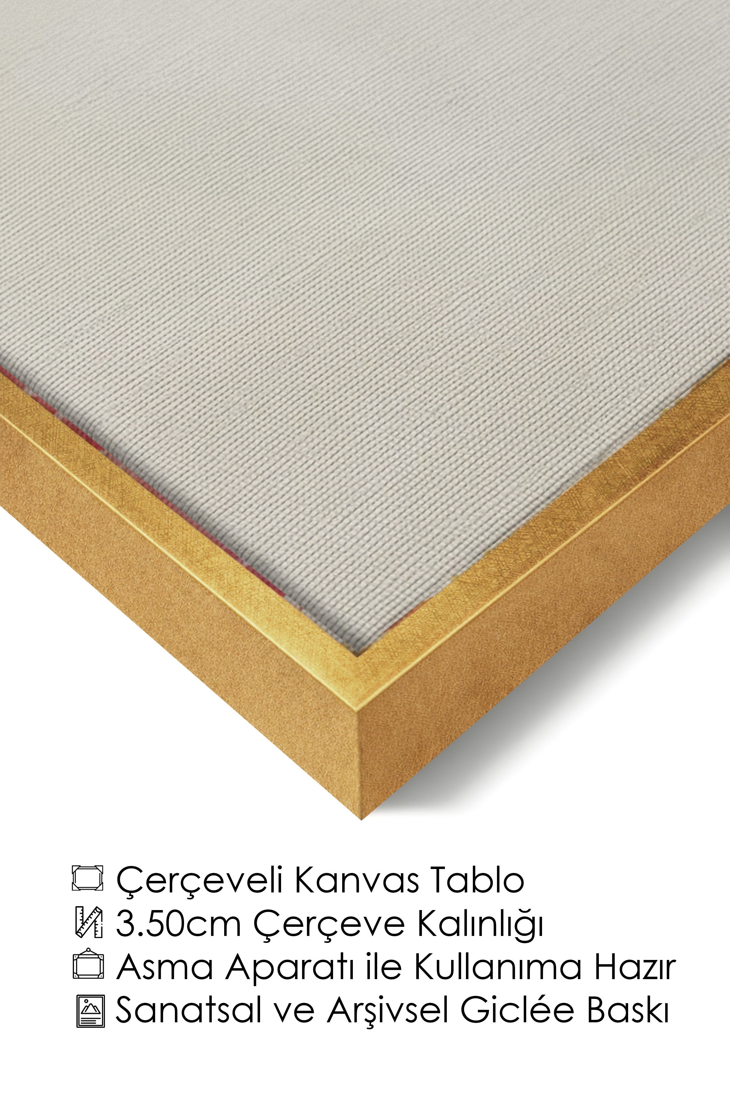 Duvar Tablosu, Lüks Gold Çerçeveli Kanvas Tablo, Ritüel Serisi, Kuş Tablo, NO:115204