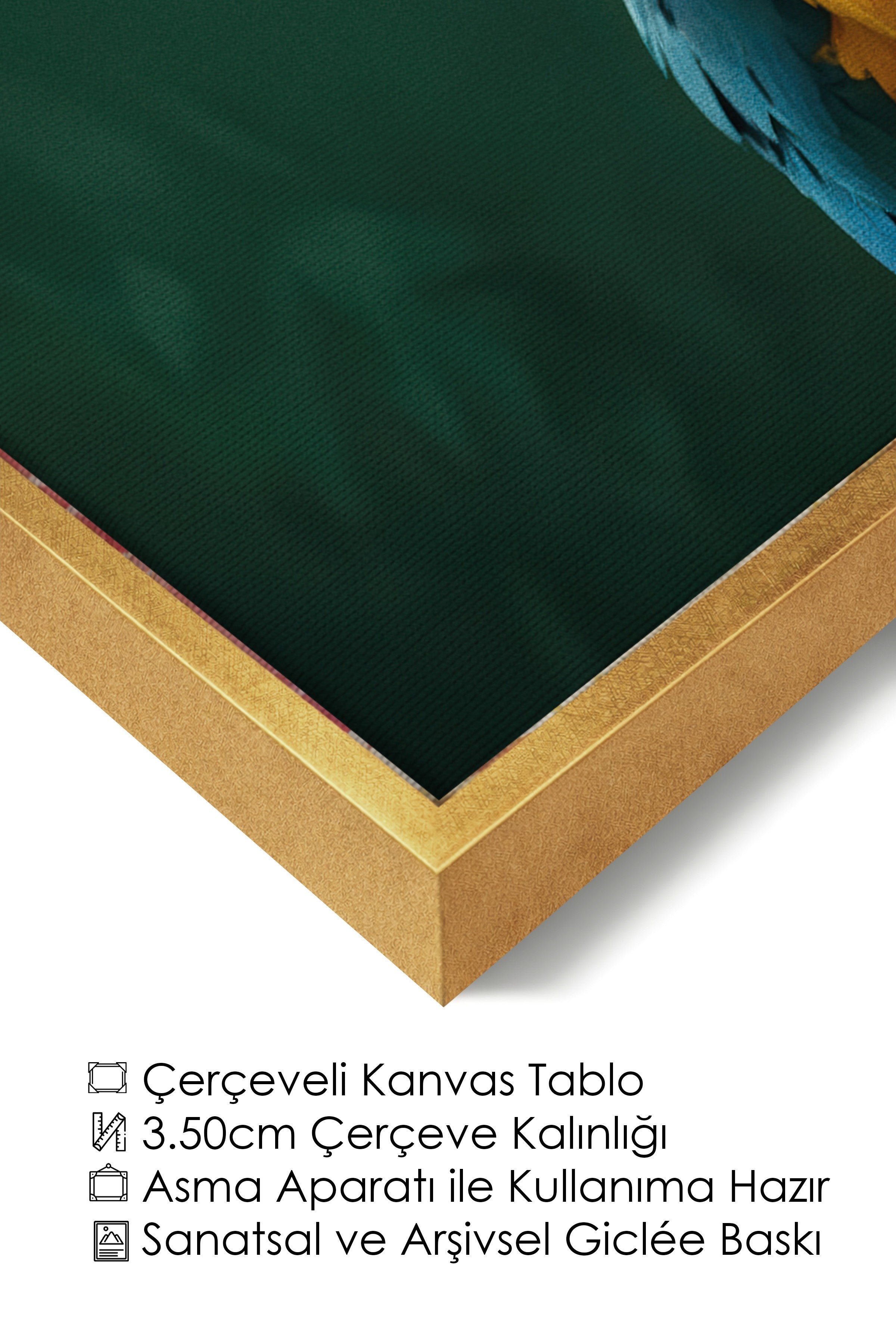 Duvar Tablosu, Lüks Gold Çerçeveli Kanvas Tablo, Ritüel Serisi, Kuş Tablo, NO:115207