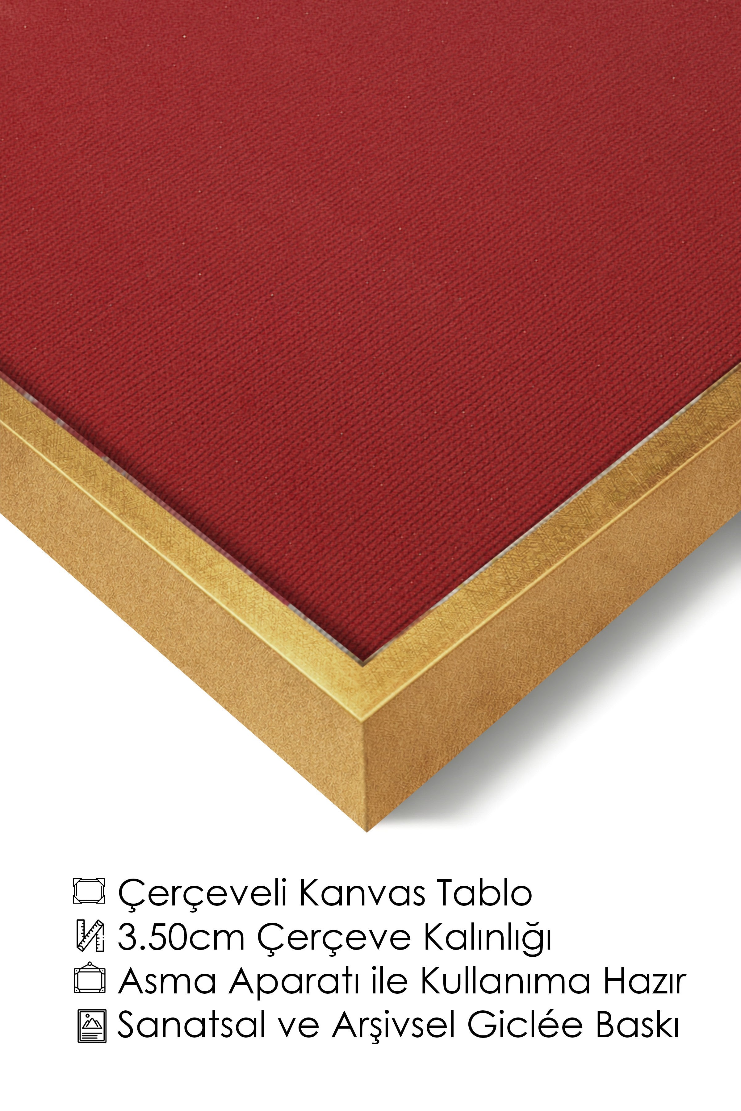 Duvar Tablosu, Lüks Gold Çerçeveli Kanvas Tablo, Ritüel Serisi, Kuş Tablo, NO:115209