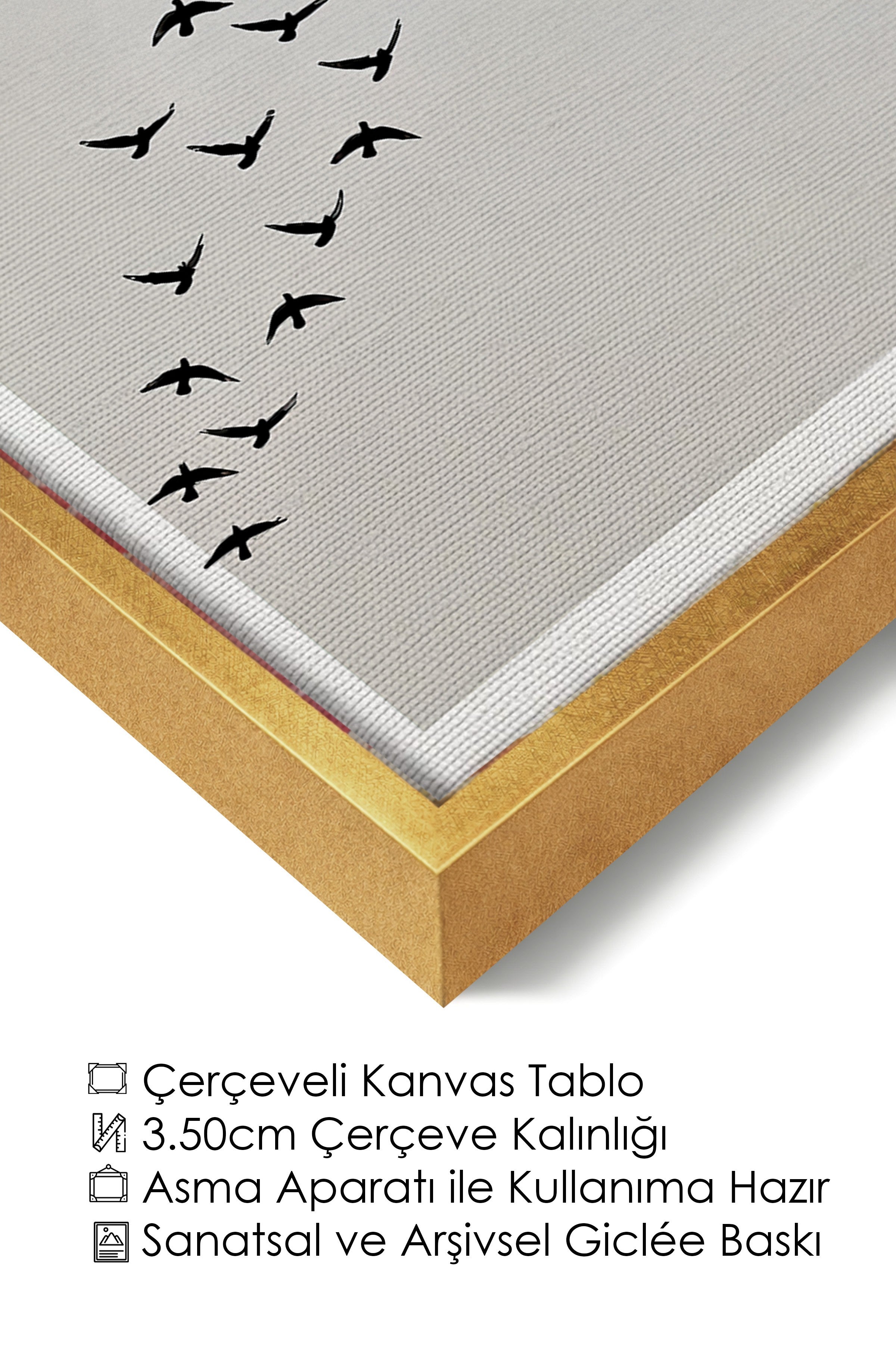 Duvar Tablosu, Lüks Gold Çerçeveli Kanvas Tablo, Ritüel Serisi, Kuş Tablo, NO:115210