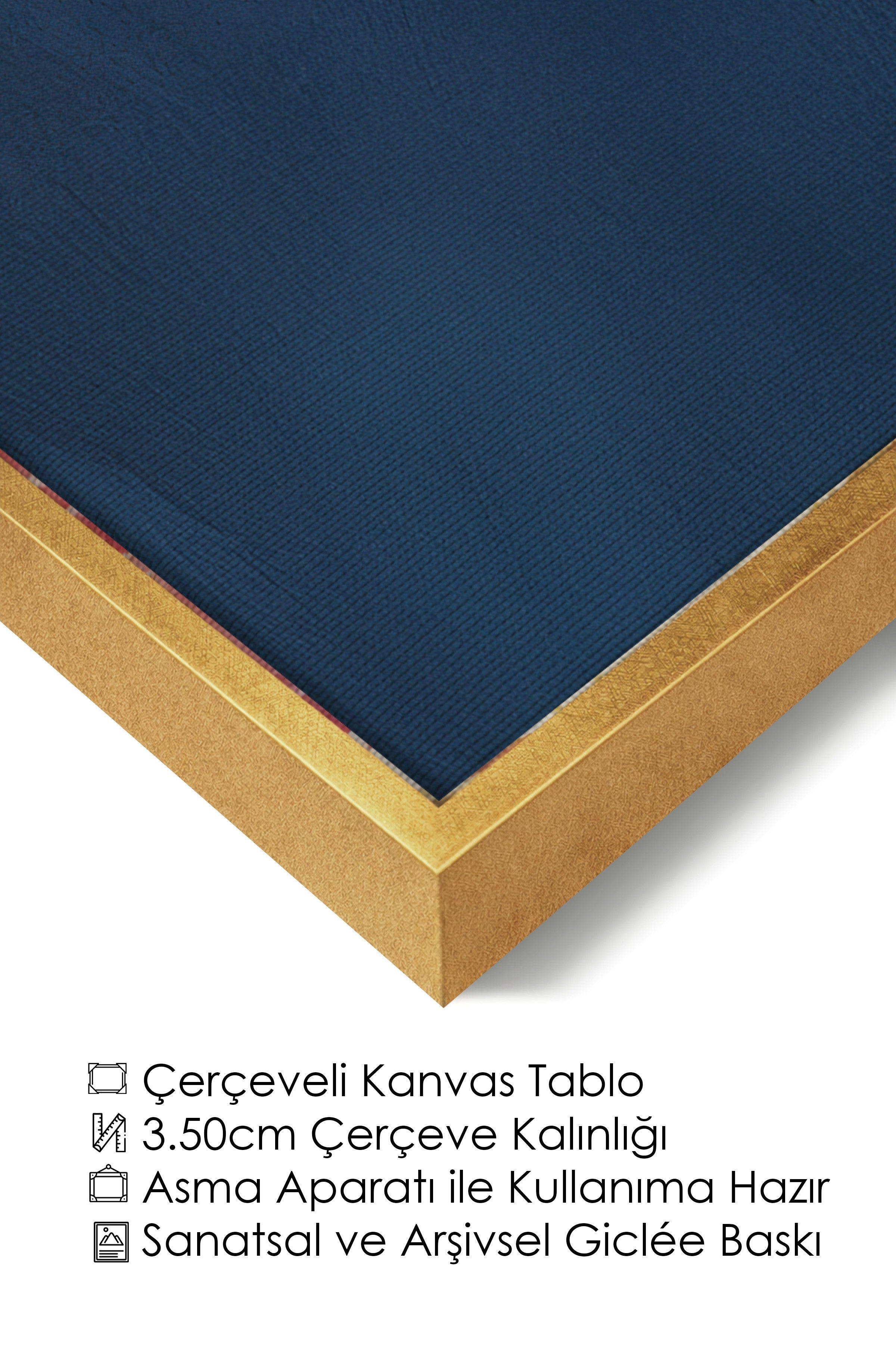 Duvar Tablosu, Lüks Gold Çerçeveli Kanvas Tablo, Ritüel Serisi, Kuş Tablo, NO:115212