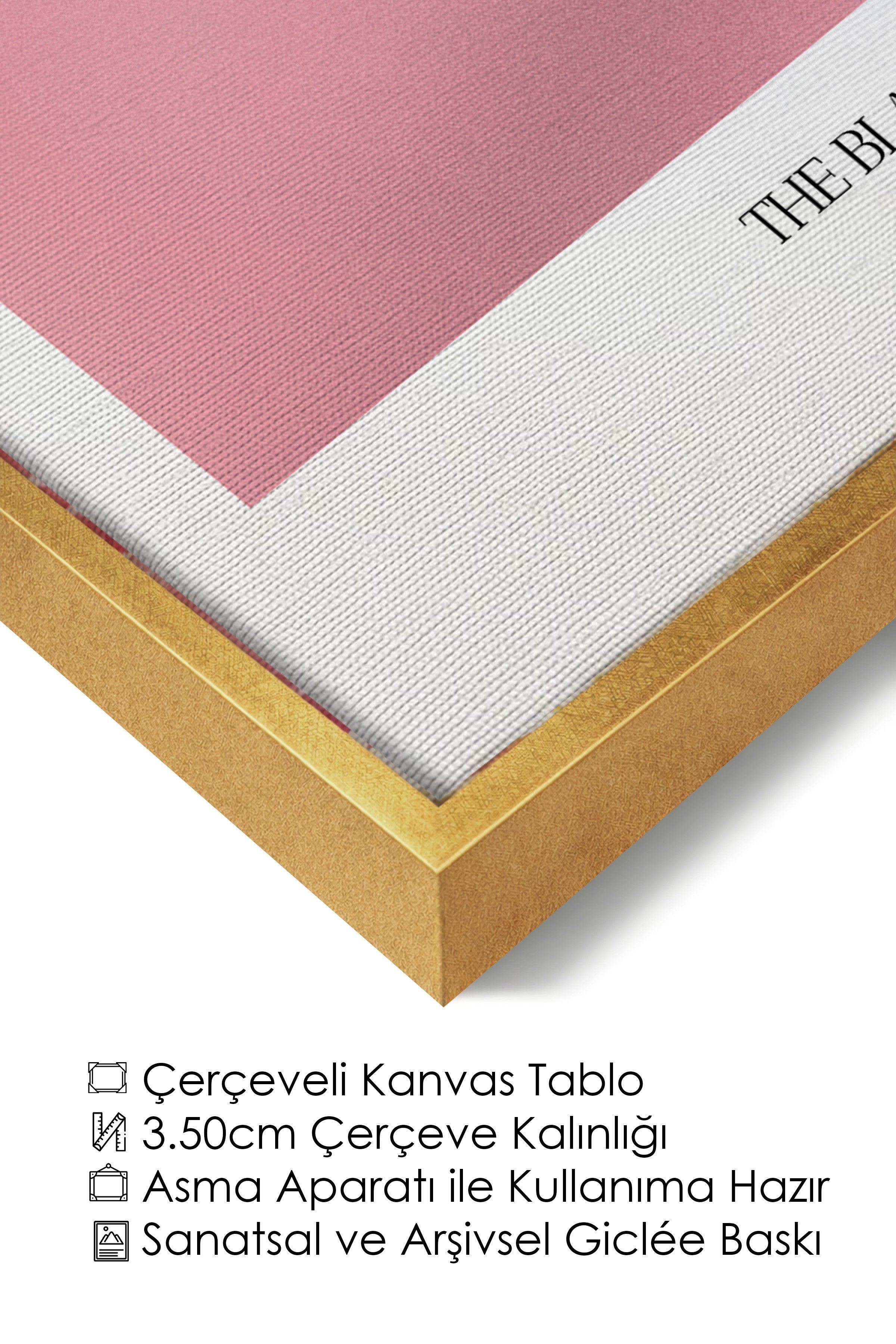 Duvar Tablosu, Lüks Gold Çerçeveli Kanvas Tablo, Ritüel Serisi, Kuş Tablo, NO:115214