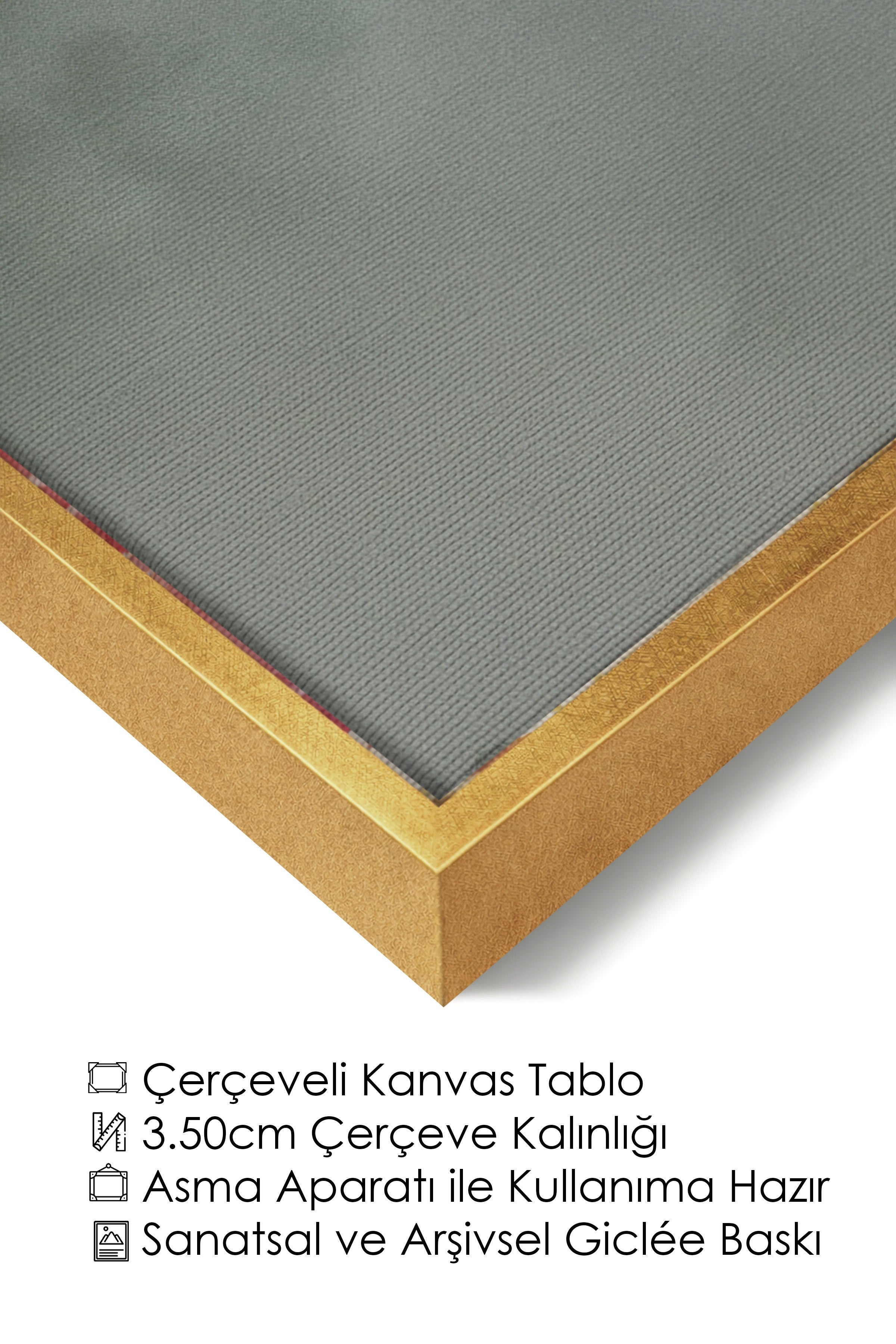 Duvar Tablosu, Lüks Gold Çerçeveli Kanvas Tablo, Ritüel Serisi, Kuş Tablo, NO:115221