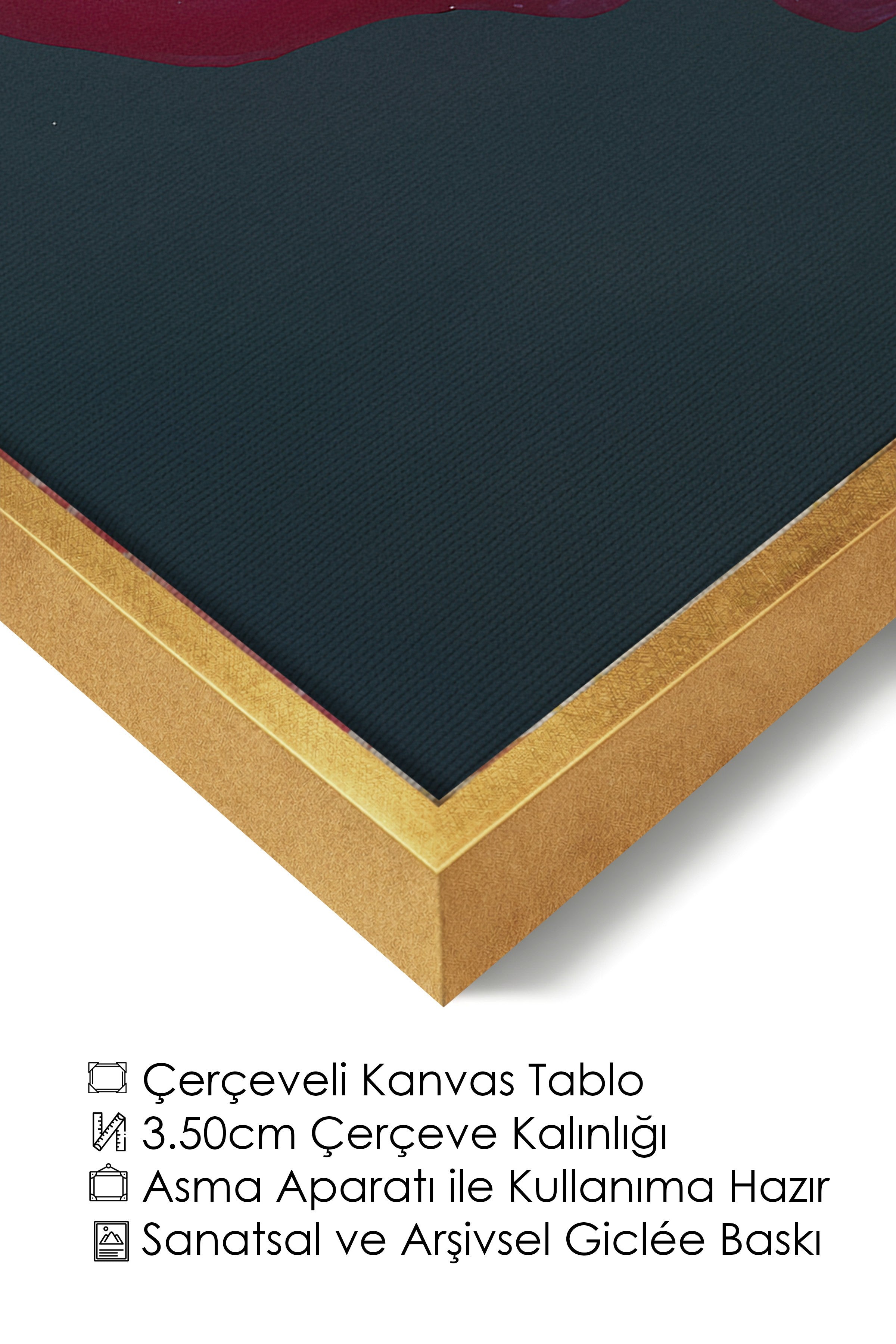 Duvar Tablosu, Lüks Gold Çerçeveli Kanvas Tablo, Ritüel Serisi, Kuş Tablo, NO:115228