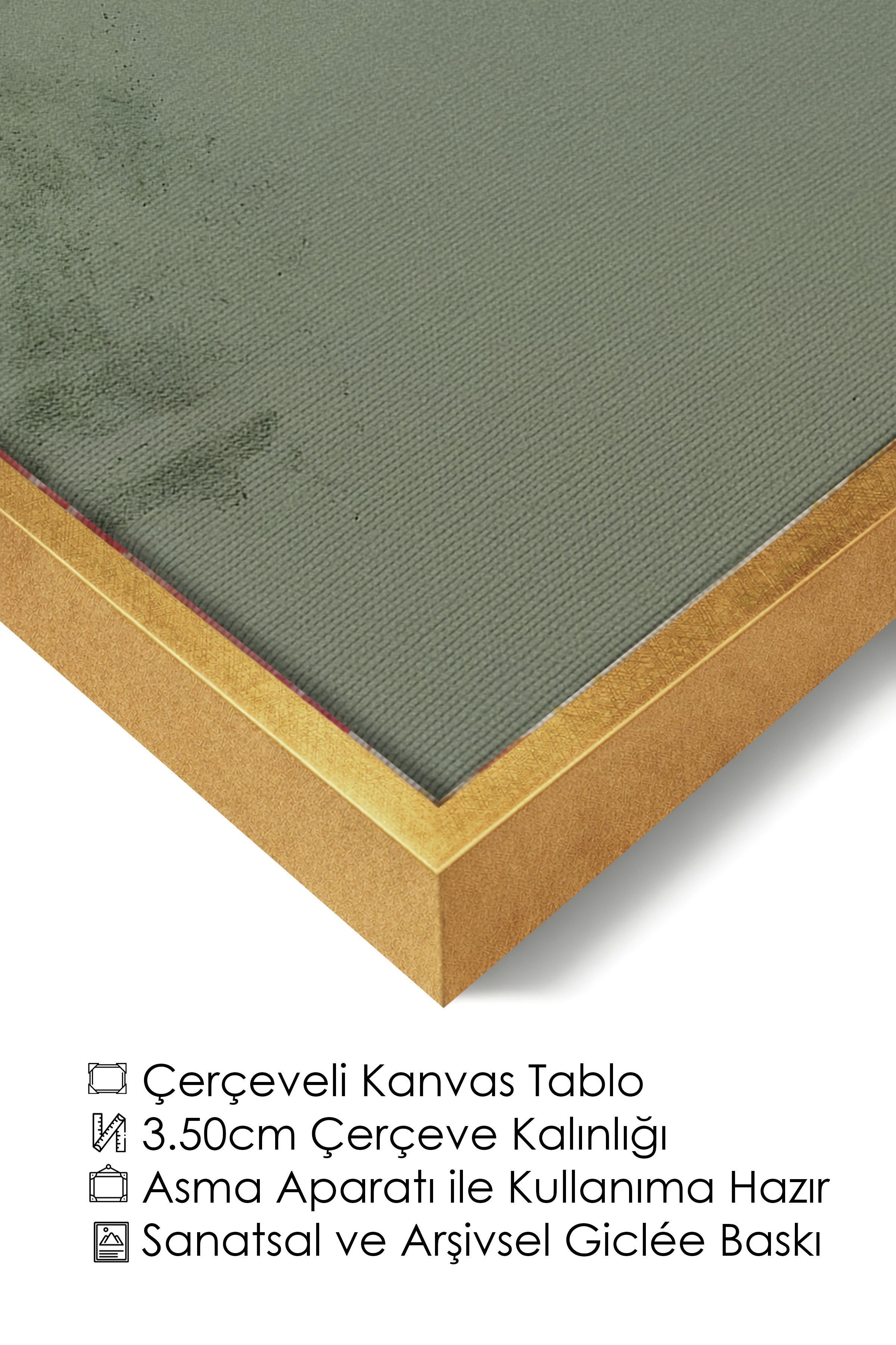 Duvar Tablosu, Lüks Gold Çerçeveli Kanvas Tablo, Ritüel Serisi, Kuş Tablo, NO:115234