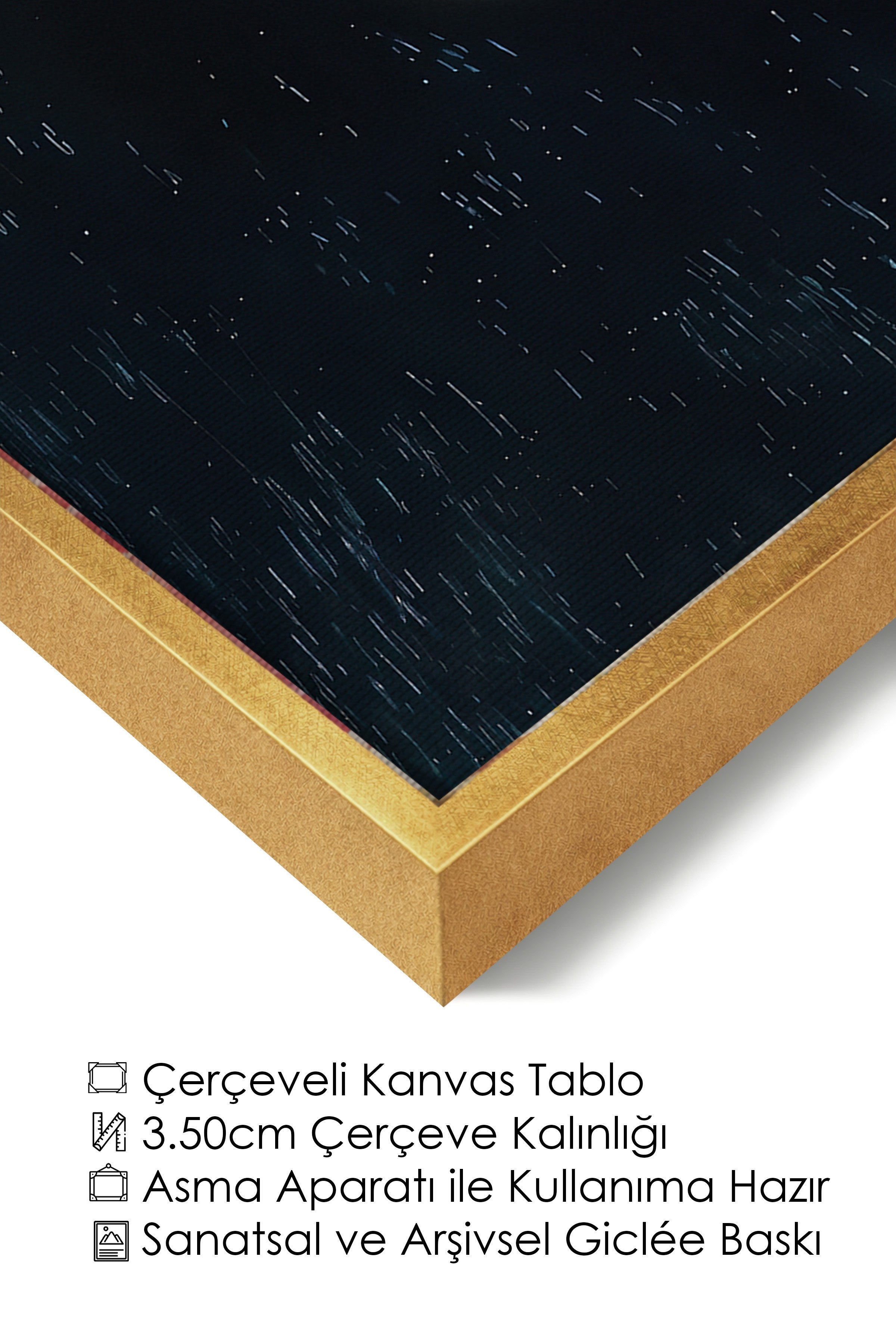 Duvar Tablosu, Lüks Gold Çerçeveli Kanvas Tablo, Ritüel Serisi, Kuş Tablo, NO:115243