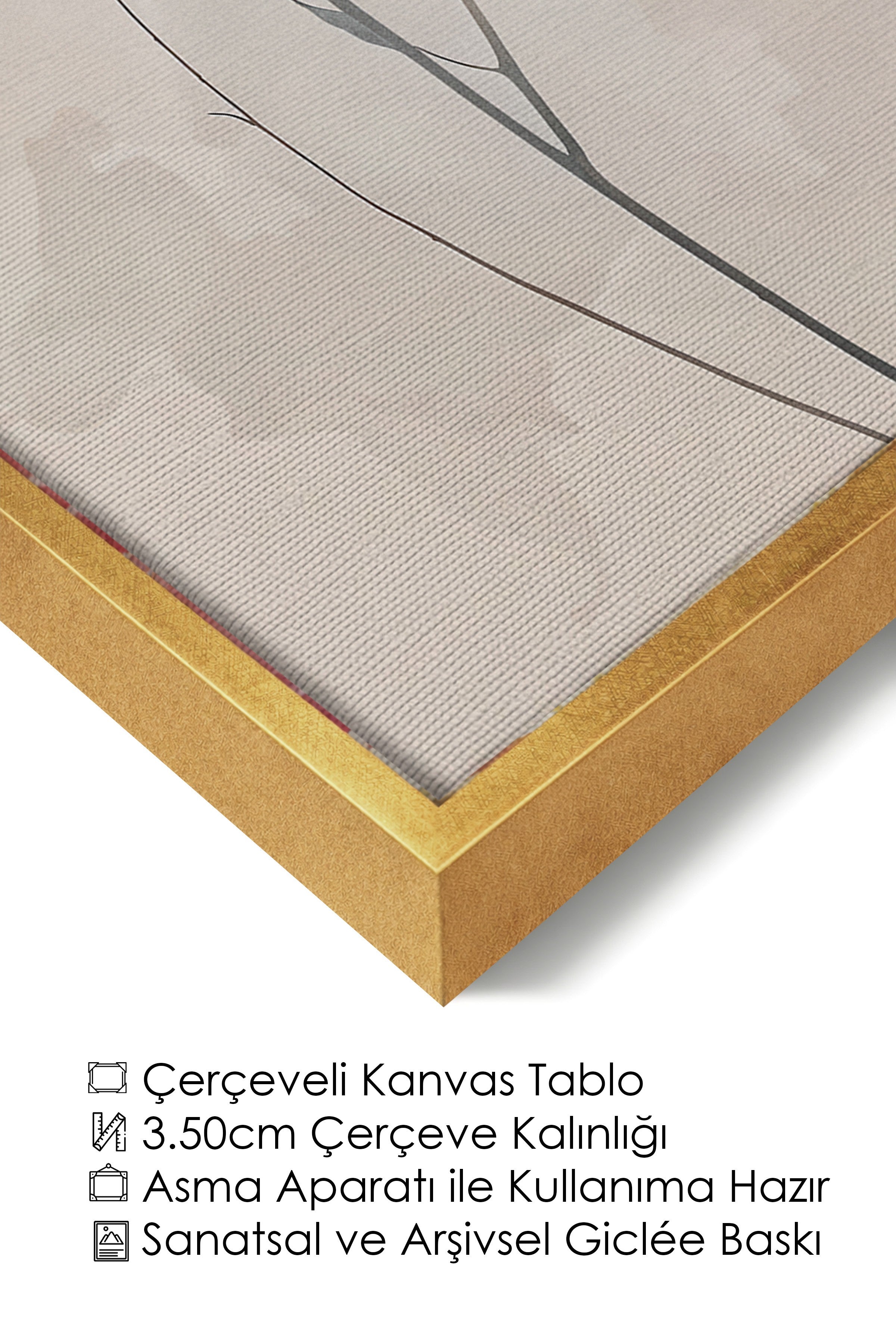 Duvar Tablosu, Lüks Gold Çerçeveli Kanvas Tablo, Ritüel Serisi, Kuş Tablo, NO:115244